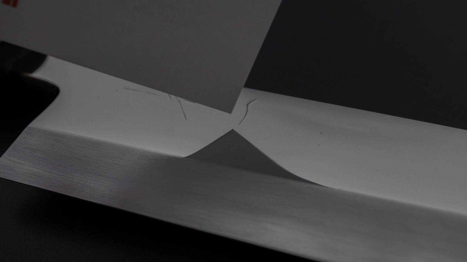 Hitohira Kikuchiyo Mosuke Silver #3 Mirror Polished Mioroshi Deba 210mm Ebony Handle (Saya)