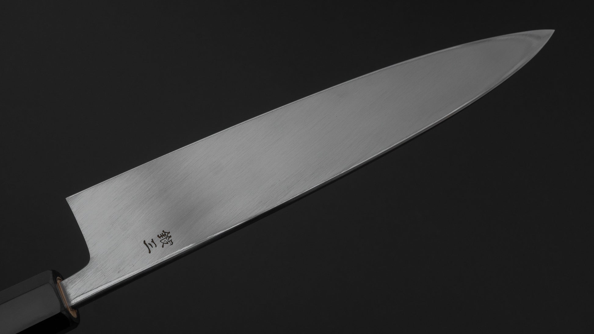 Hitohira Kikuchiyo Mosuke Silver #3 Mioroshi Deba 210mm Ho Wood Handle
