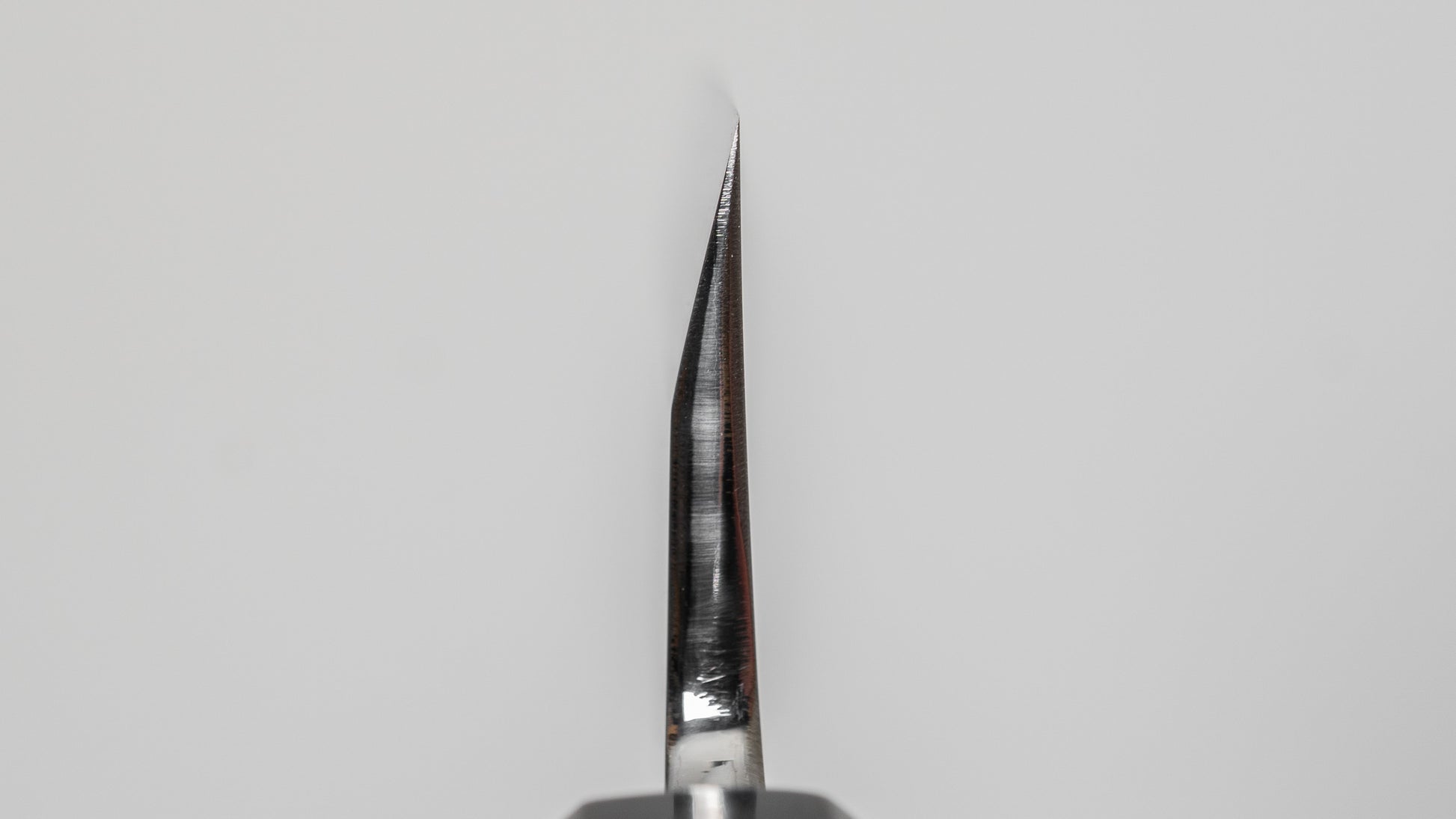 Hitohira Kikuchiyo Mosuke Silver #3 Mioroshi Deba 210mm Ho Wood Handle