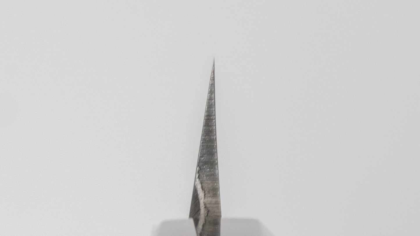 Hitohira Togashi Blue #2 Yanagiba 210mm Ho Wood Handle (Saya)