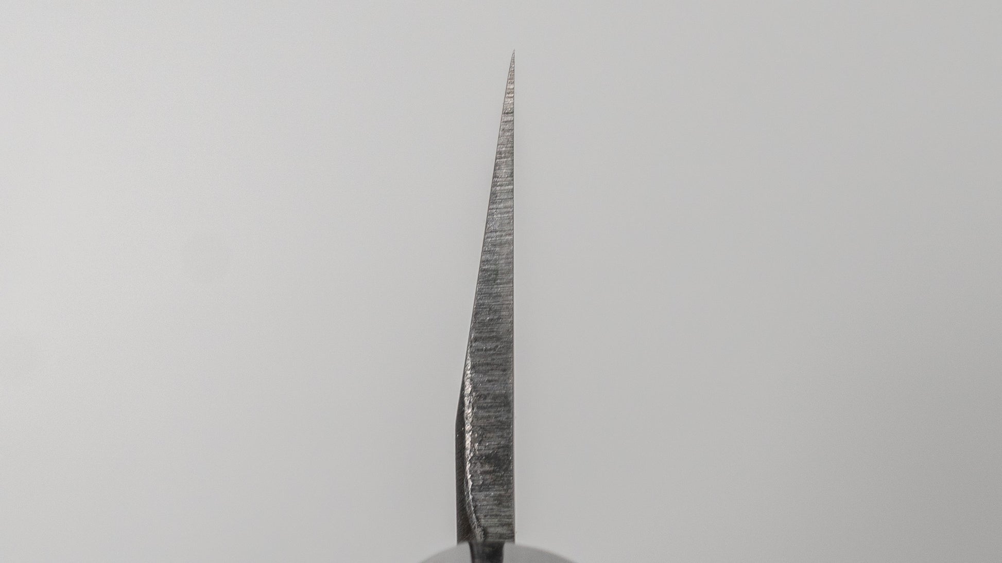 Hitohira Togashi White #2 Usuba 240mm Ho Wood Handle (D-Shape/ Saya)