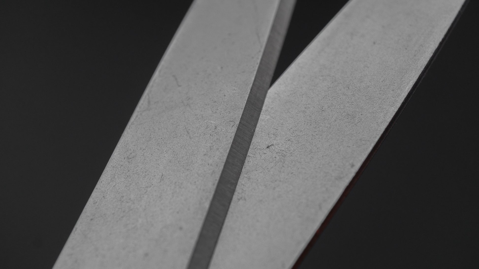 ALLEX Long Kitchen Shears