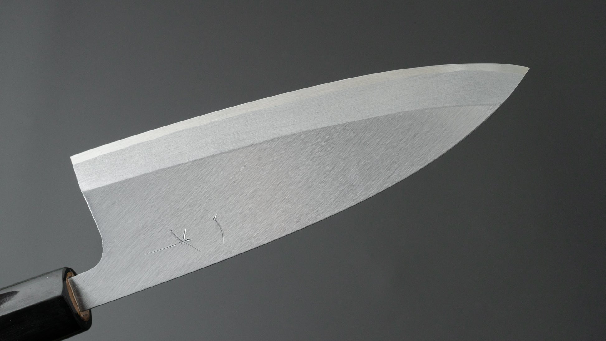Hitohira Gorobei White #3 Left-Handed Deba 150mm Ho Wood Handle (D-Shape) - HITOHIRA
