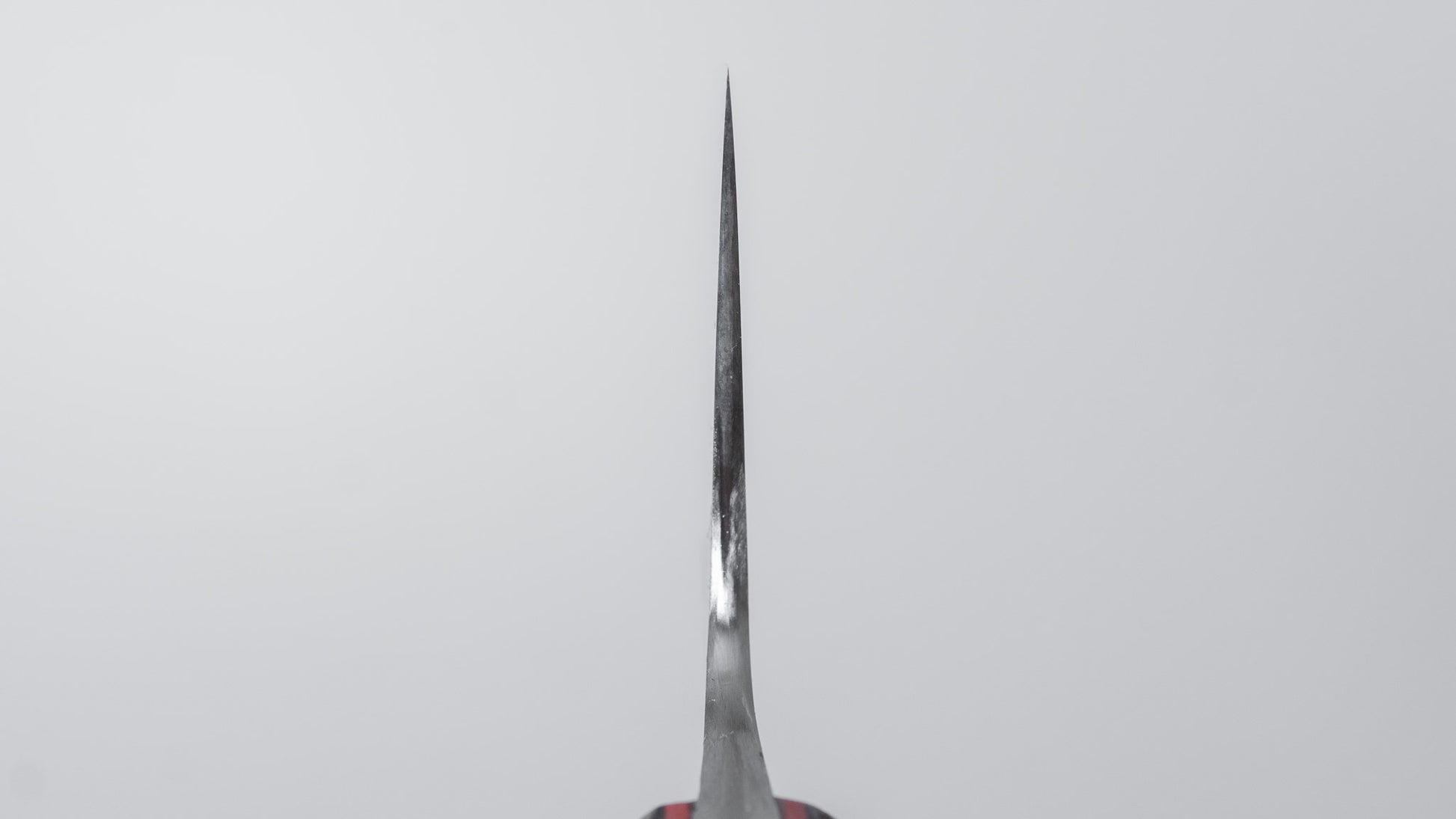Jiro Tsuchime Yo Gyuto 210mm Tagayasan Handle (#803)