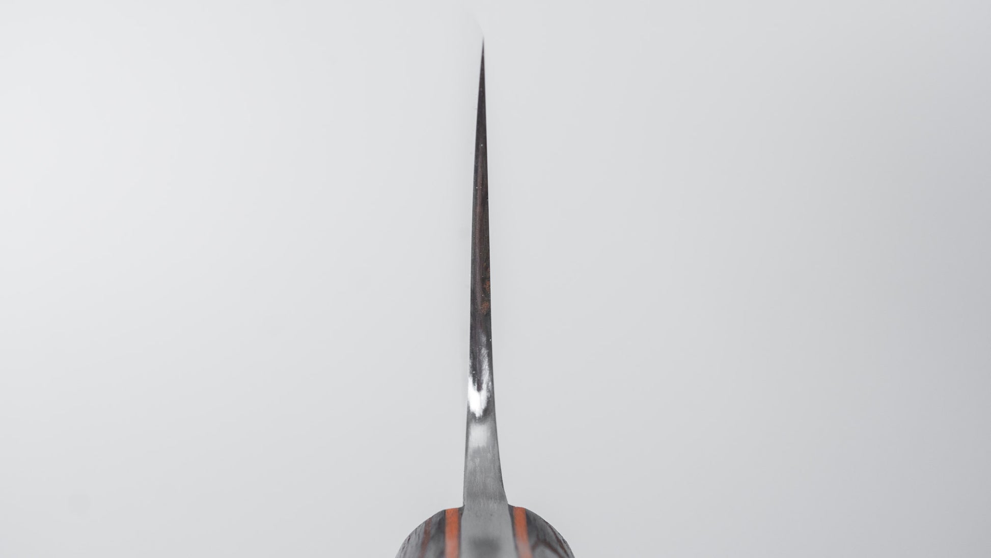 Jiro Tsuchime Yo Gyuto 225mm Tagayasan Handle (#804)
