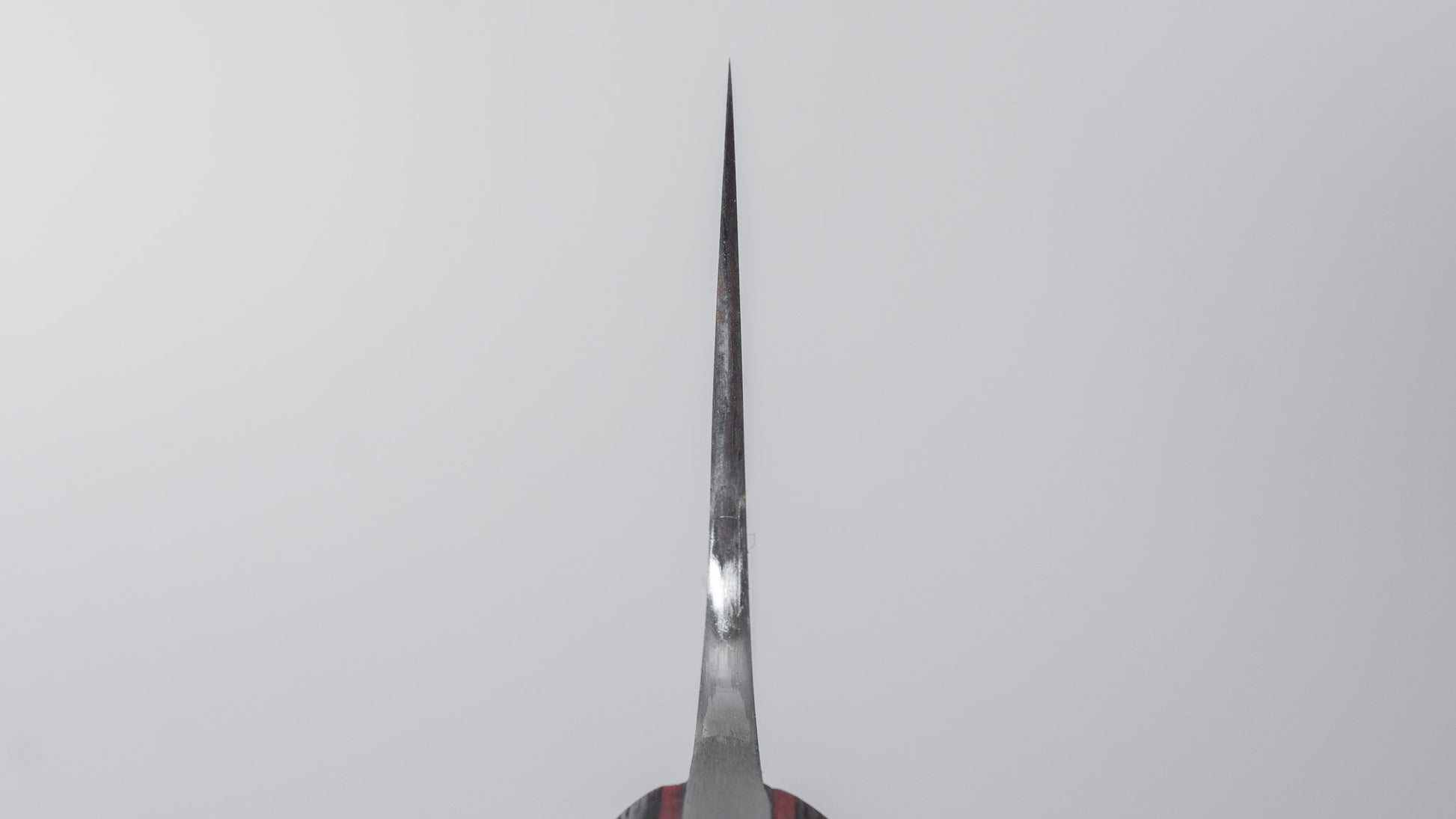 Jiro Tsuchime Yo Gyuto 225mm Tagayasan Handle (#805)
