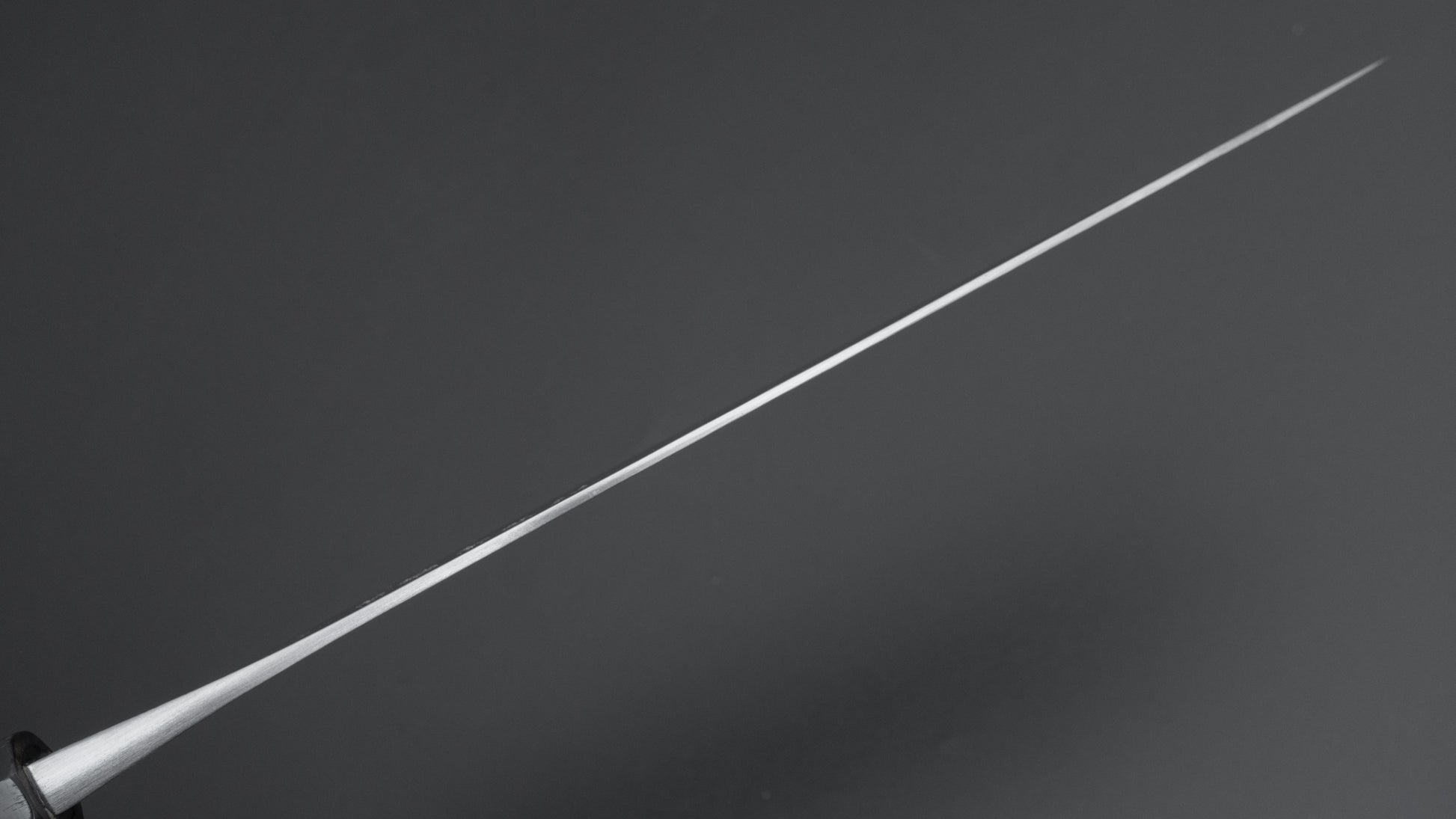 Jiro Tsuchime Wa Gyuto 240mm Taihei Tagayasan Handle (#655)