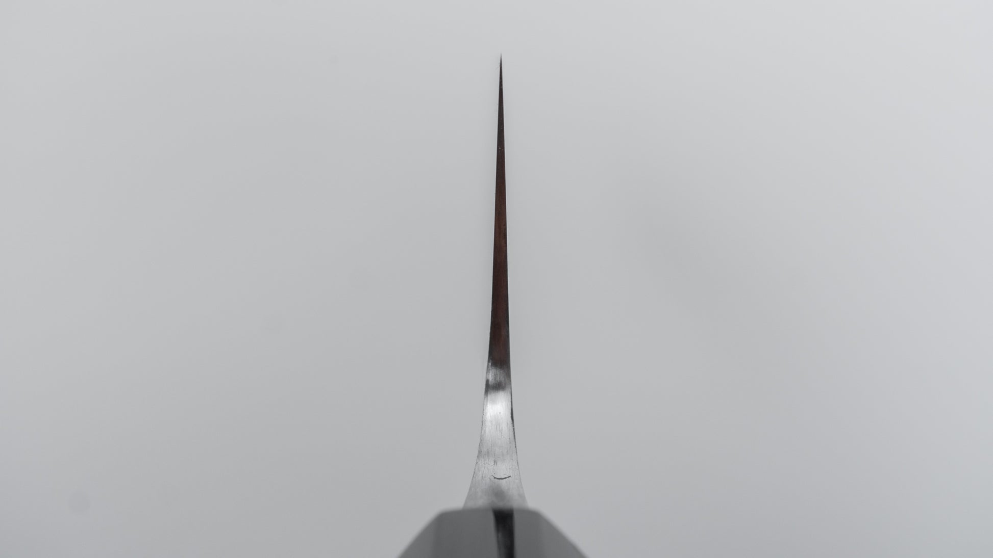 Jiro Tsuchime Wa Gyuto 240mm Taihei Tagayasan Handle (#655)