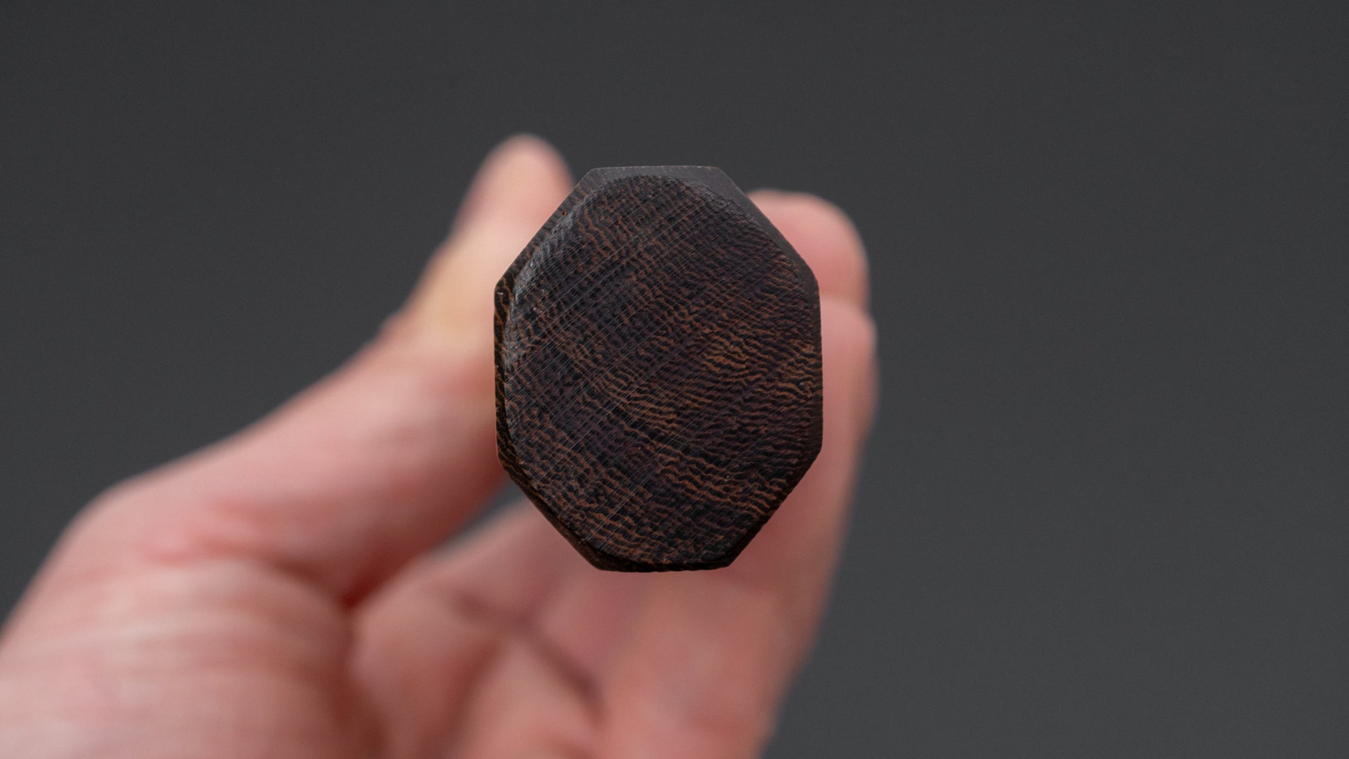 Jiro Tsuchime Wa Gyuto 240mm Taihei Tagayasan Handle (#657)