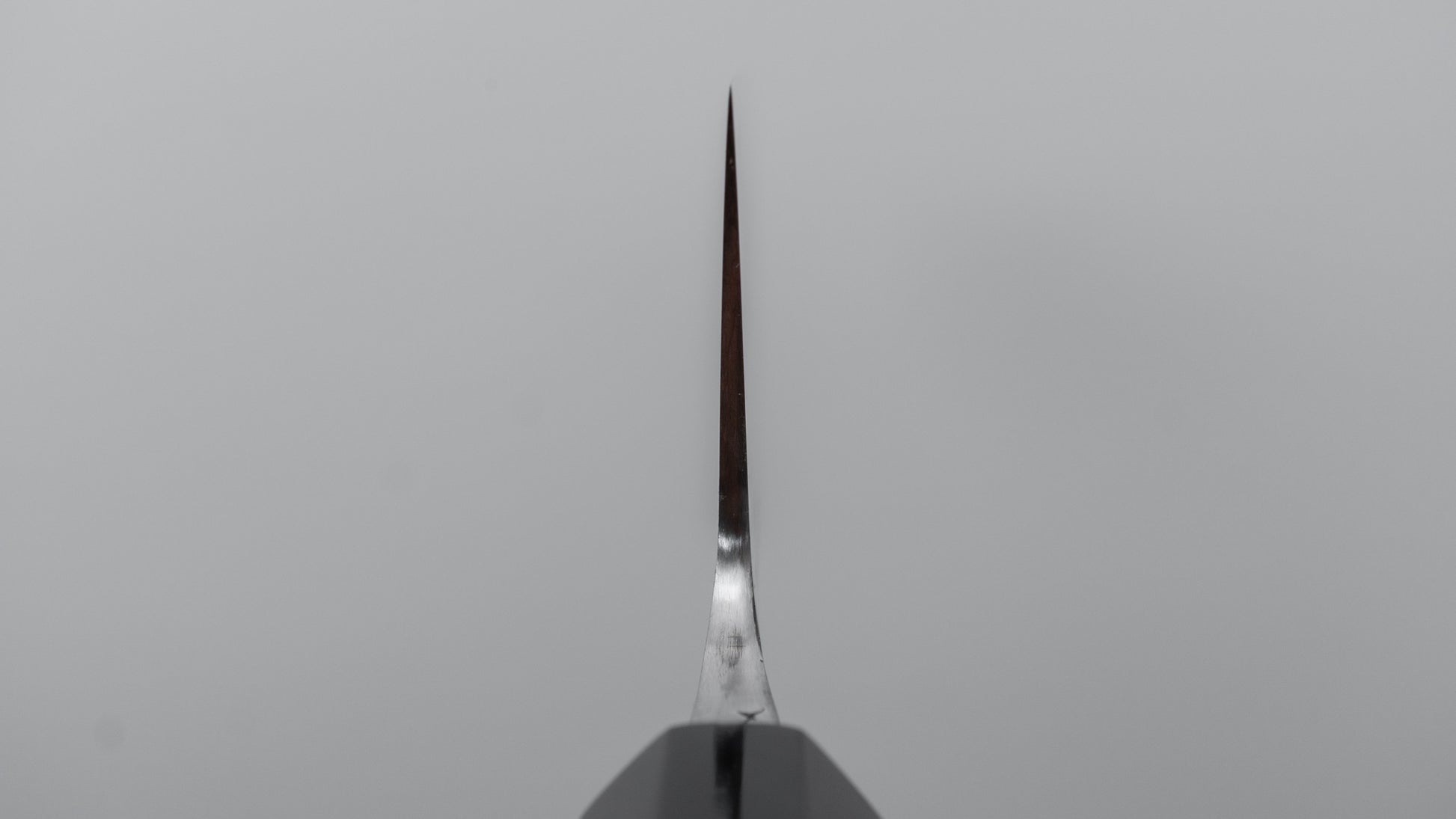 Jiro Tsuchime Wa Gyuto 240mm Taihei Tagayasan Handle (#657)