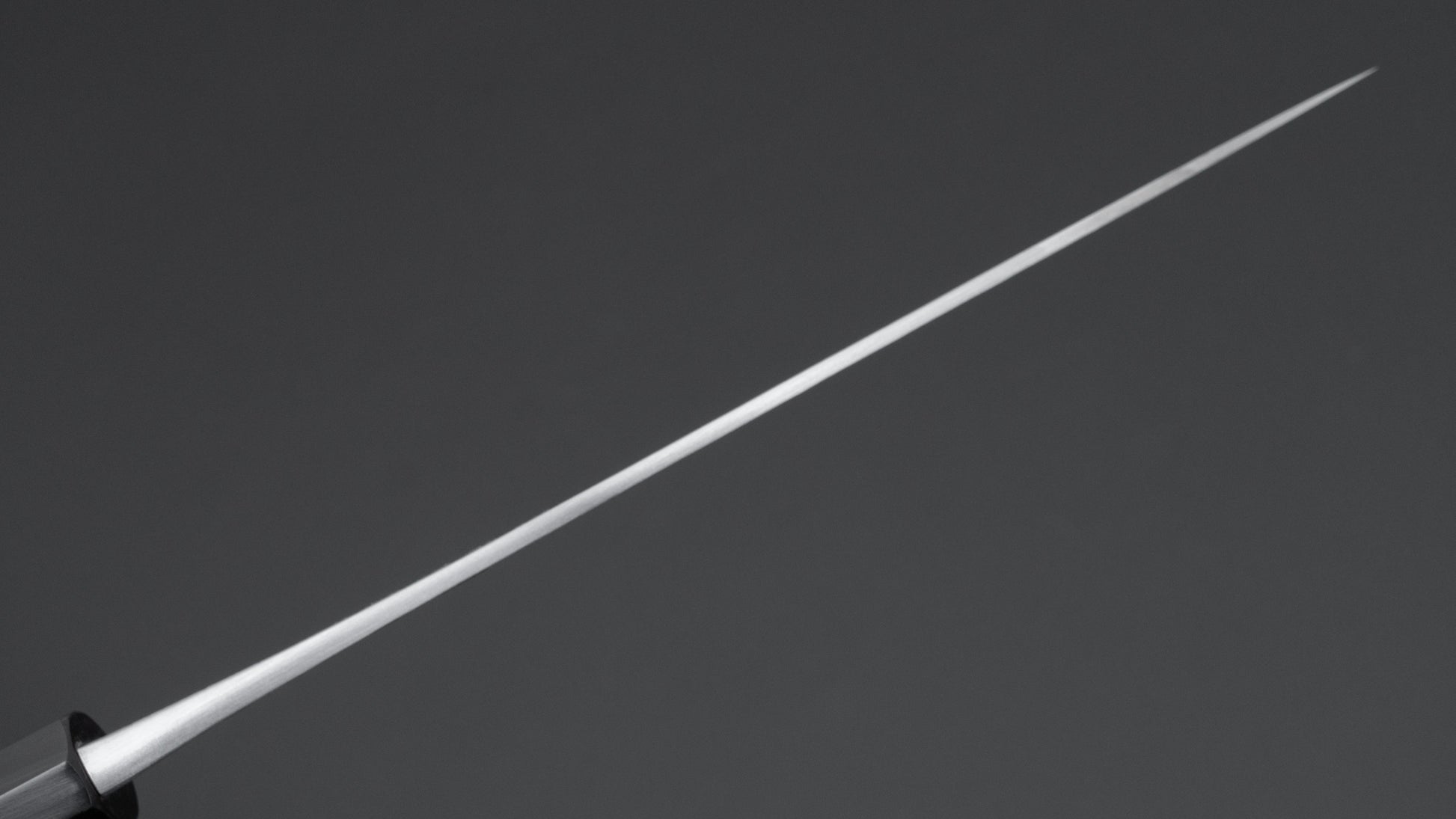 Jiro Tsuchime Wa Sujihiki 210mm Taihei Tagayasan Handle (#663)