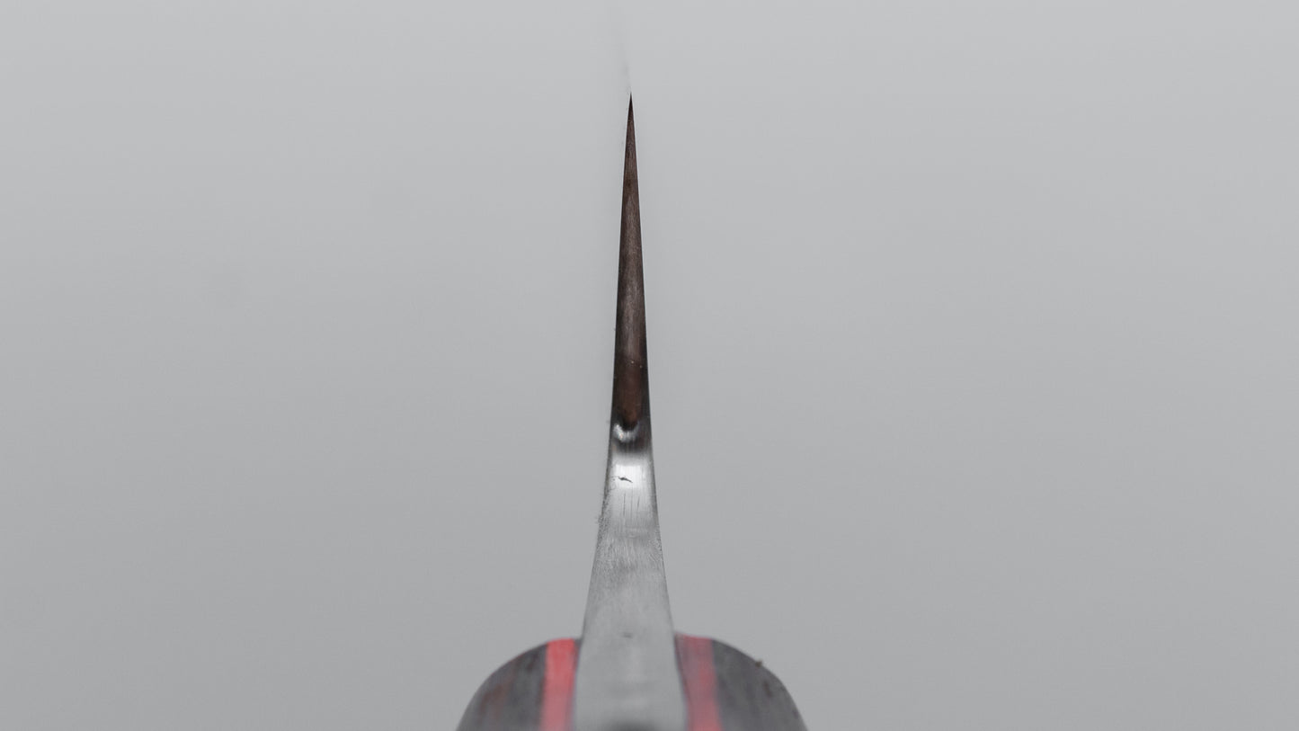 Jiro Tsuchime Yo Sujihiki 210mm Tagayasan Handle (#664)