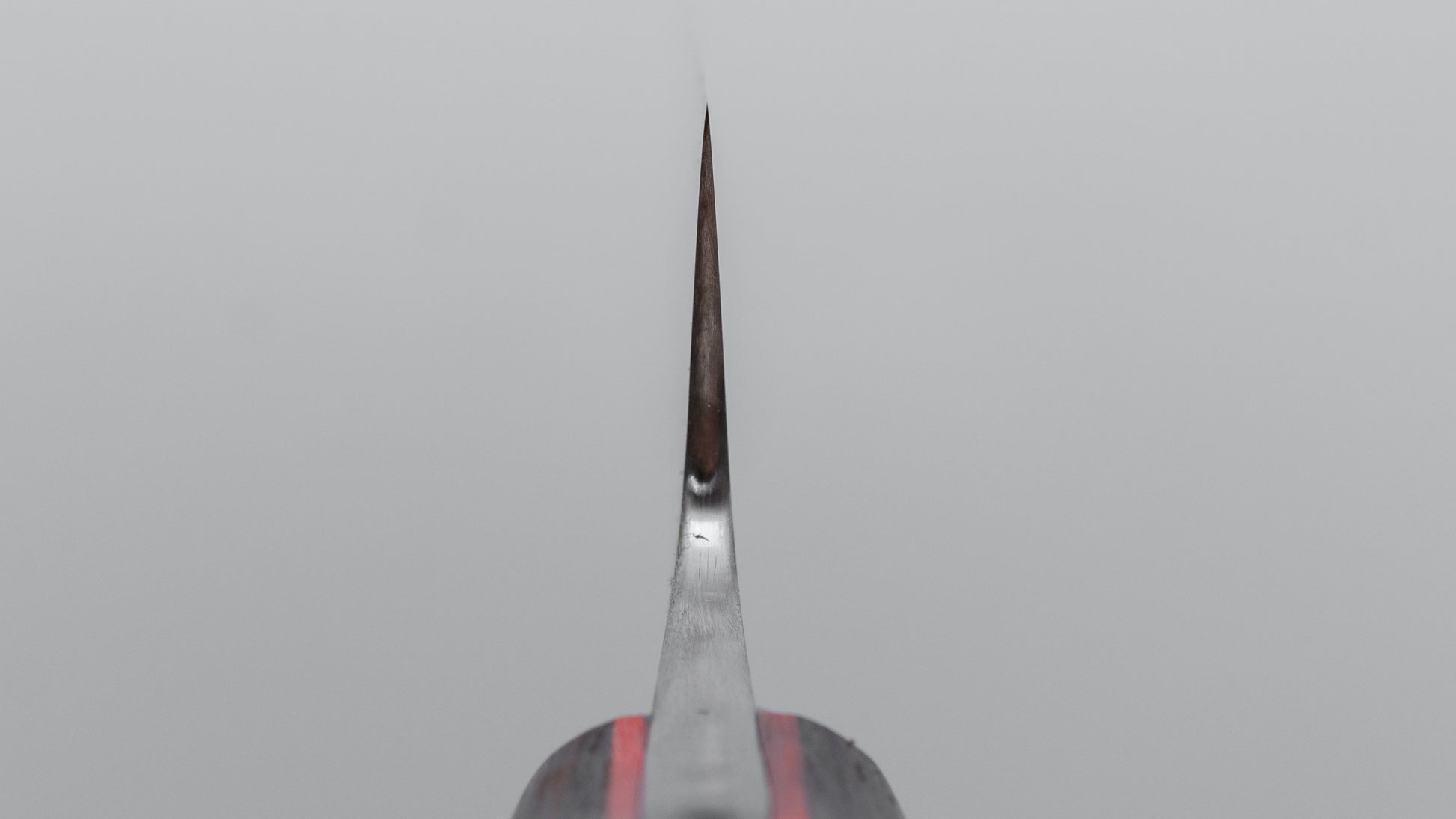 Jiro Tsuchime Yo Sujihiki 210mm Tagayasan Handle (#664)