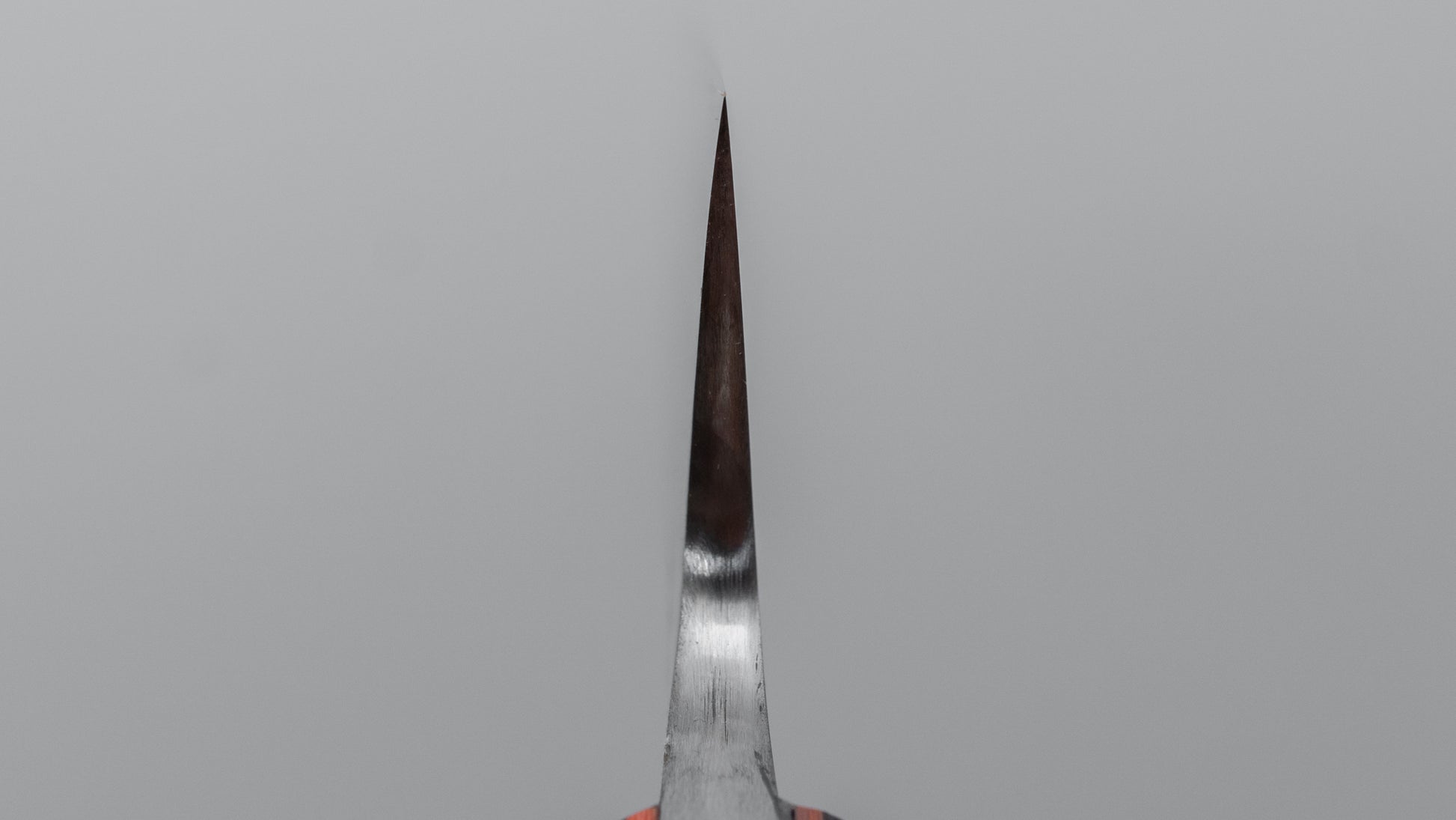 Jiro Tsuchime Yo Sujihiki 210mm Tagayasan Handle (#665)