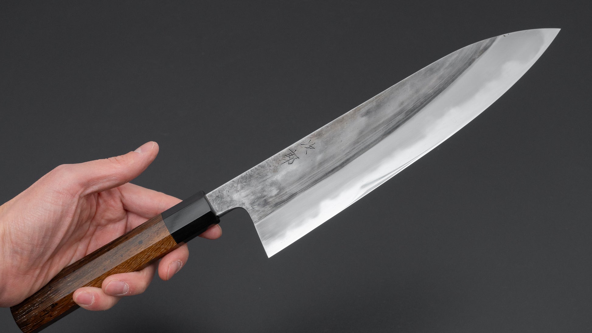 Jiro Tsuchime Wa Gyuto 240mm Taihei Tagayasan Handle (#667)