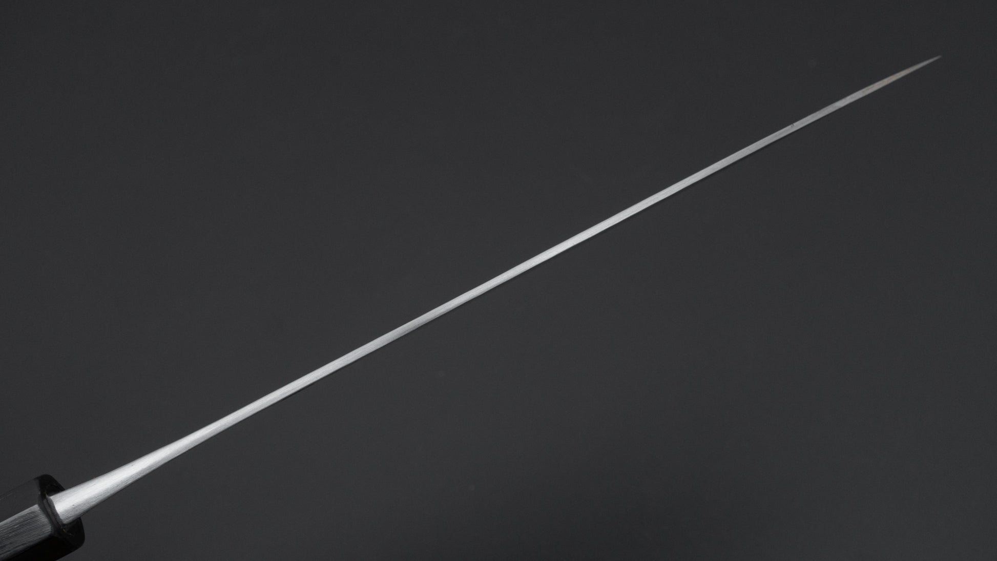 Jiro Tsuchime Wa Gyuto 240mm Taihei Tagayasan Handle (#667)