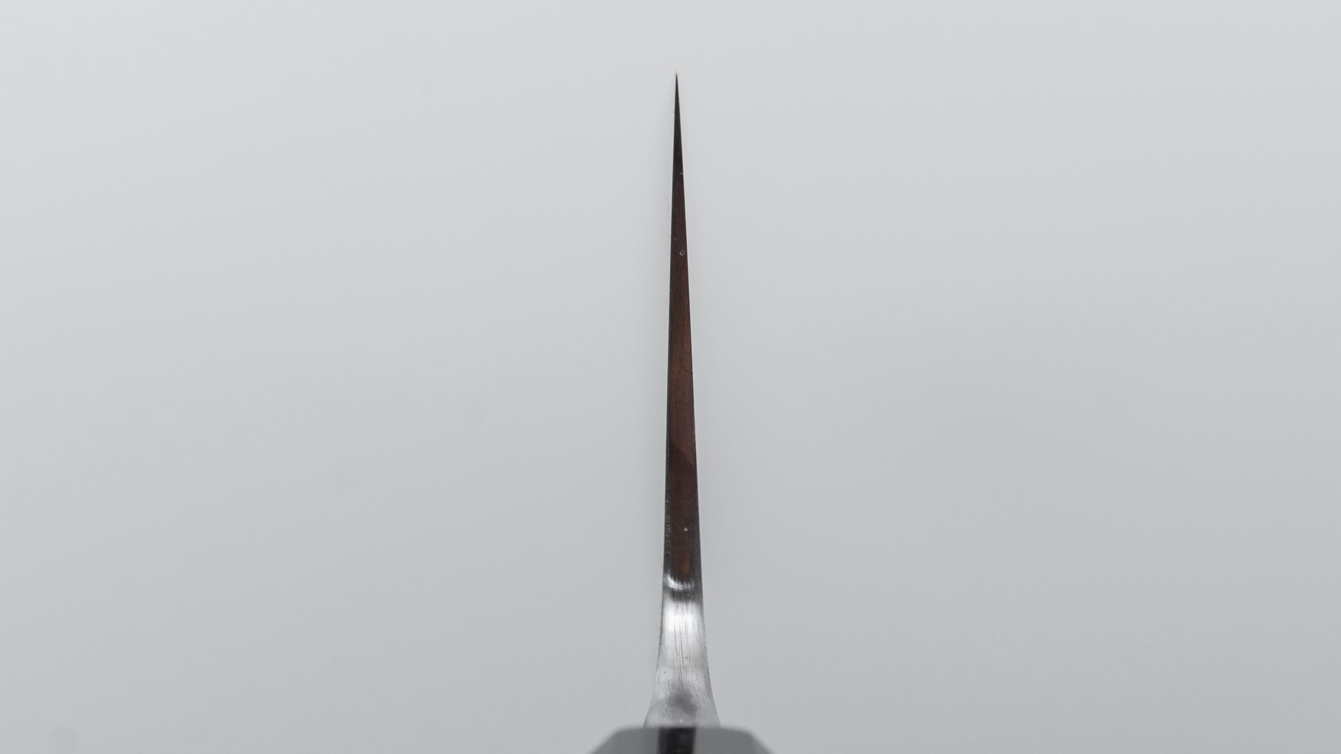 Jiro Tsuchime Wa Gyuto 240mm Taihei Tagayasan Handle (#667)