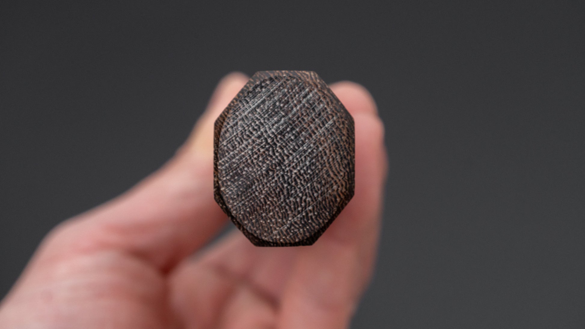 Jiro Tsuchime Wa Gyuto 240mm Taihei Tagayasan Handle (#668)