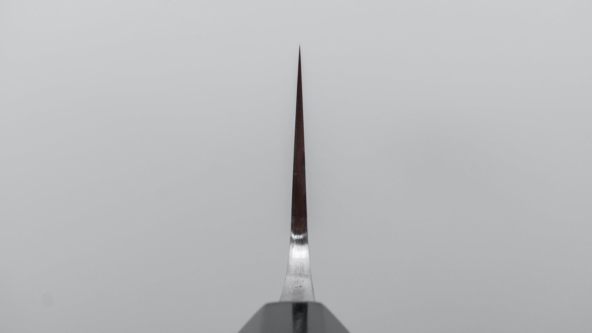 Jiro Tsuchime Wa Gyuto 240mm Taihei Tagayasan Handle (#668)