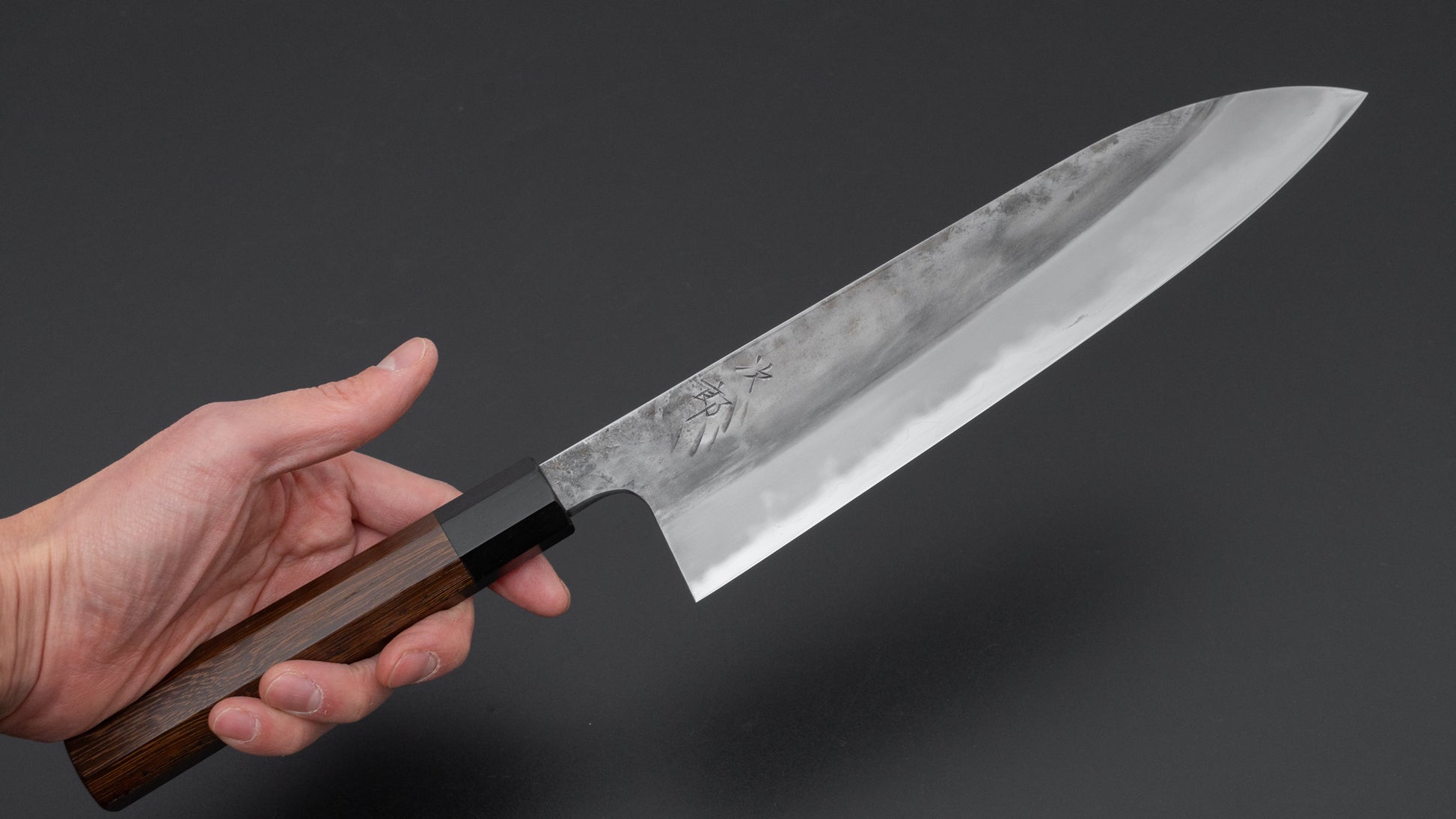 Jiro Tsuchime Wa Gyuto 240mm Taihei Tagayasan Handle (#669)