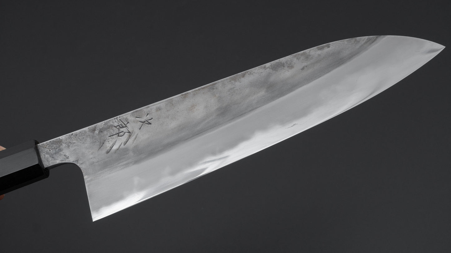Jiro Tsuchime Wa Gyuto 240mm Taihei Tagayasan Handle (#669)