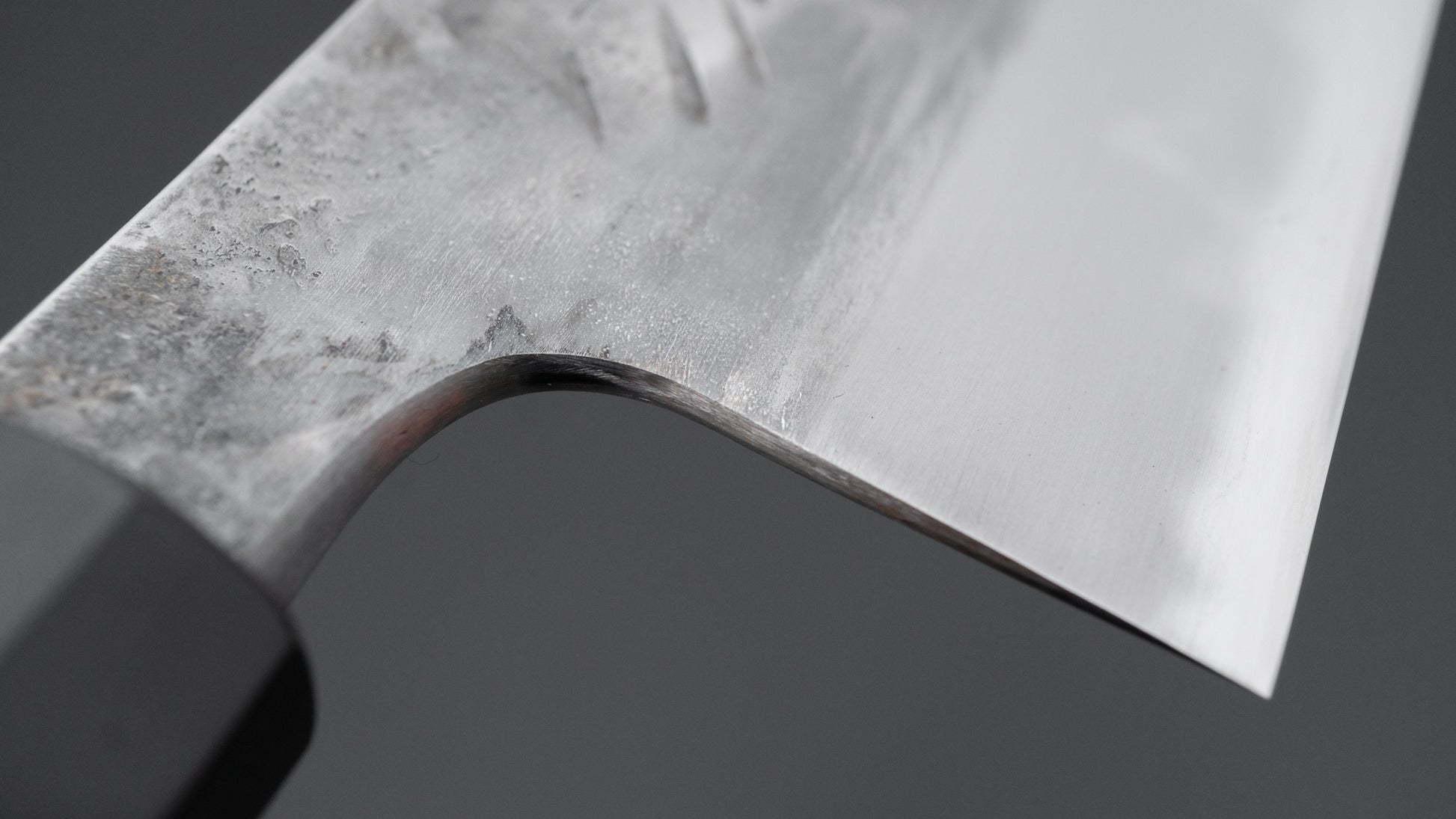 Jiro Tsuchime Wa Gyuto 240mm Taihei Tagayasan Handle (#669)