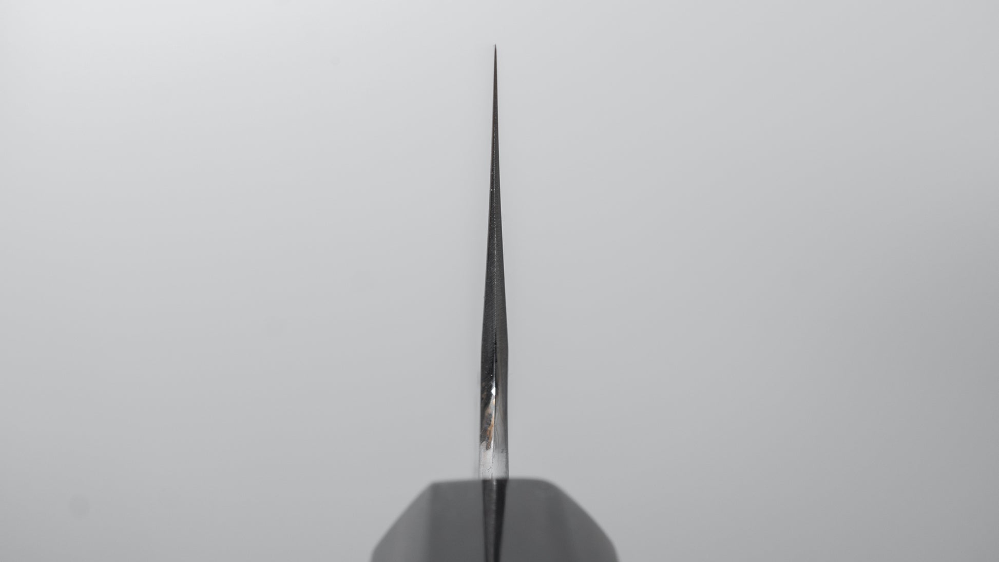 Hitohira Tanaka Ren White #2 Gyuto 210mm Ebony Handle