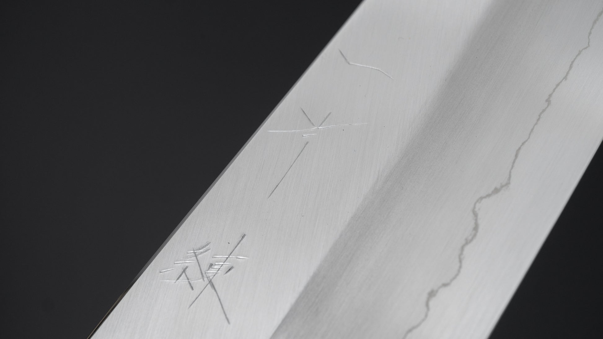 Hitohira Kikuchiyo Ren Silver #3 Gyuto 240mm Ebony Handle