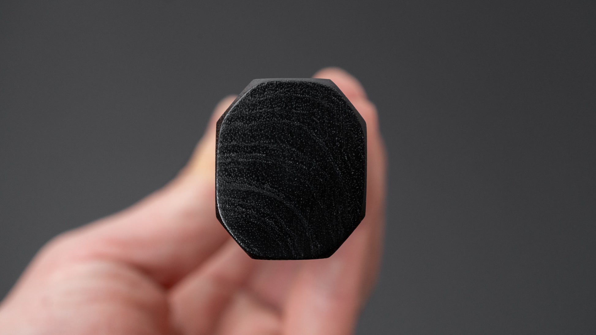 Hitohira Kikuchiyo Ren Silver #3 Gyuto 240mm Ebony Handle