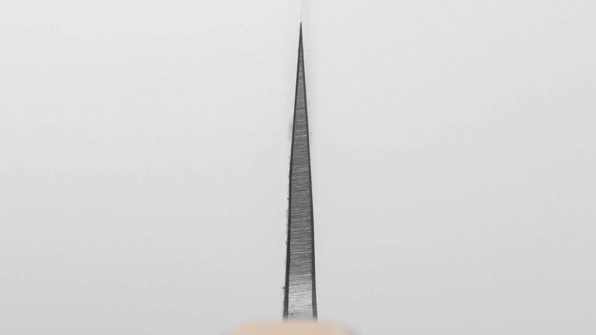Hitohira TD SLD Nashiji Sujihiki 270mm Walnut Handle