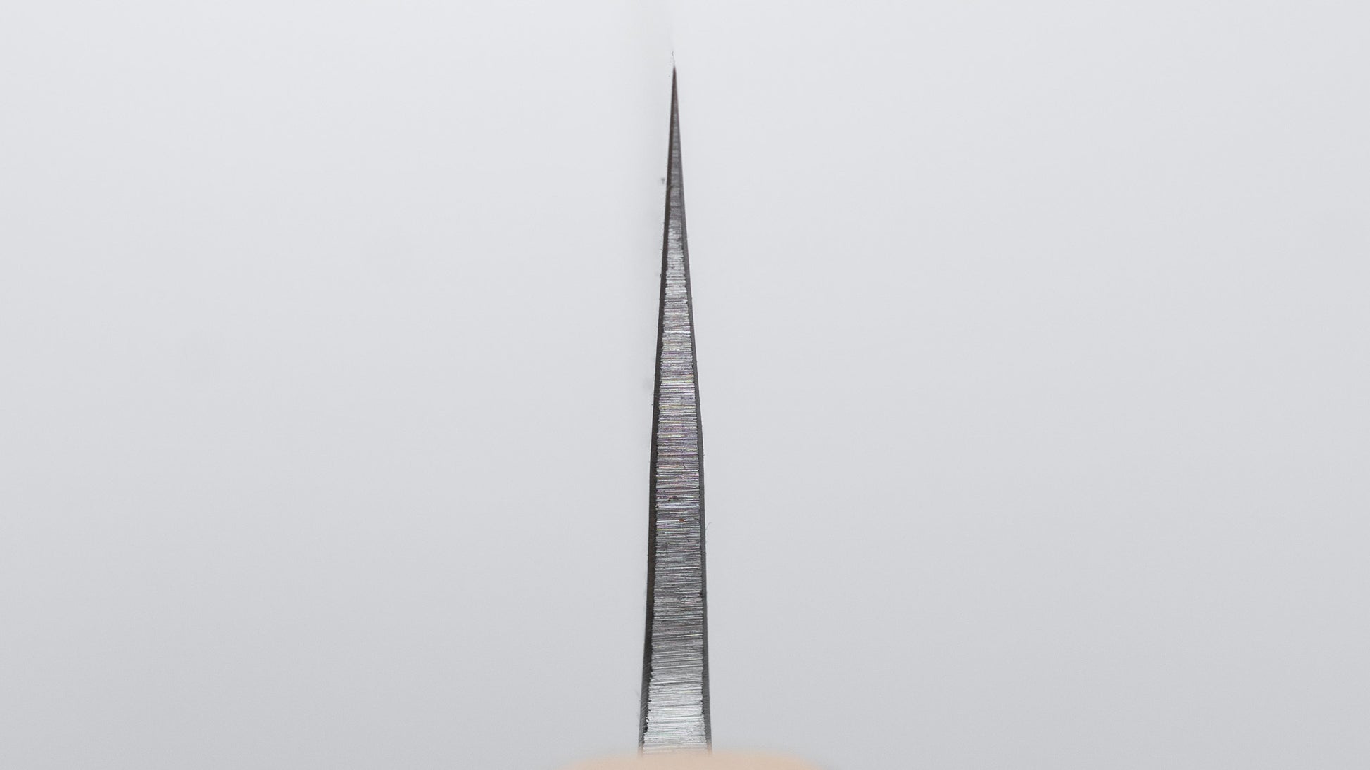 Hitohira TD Blue #2 Stainless Clad Kurouchi Sujihiki 240mm Walnut Handle