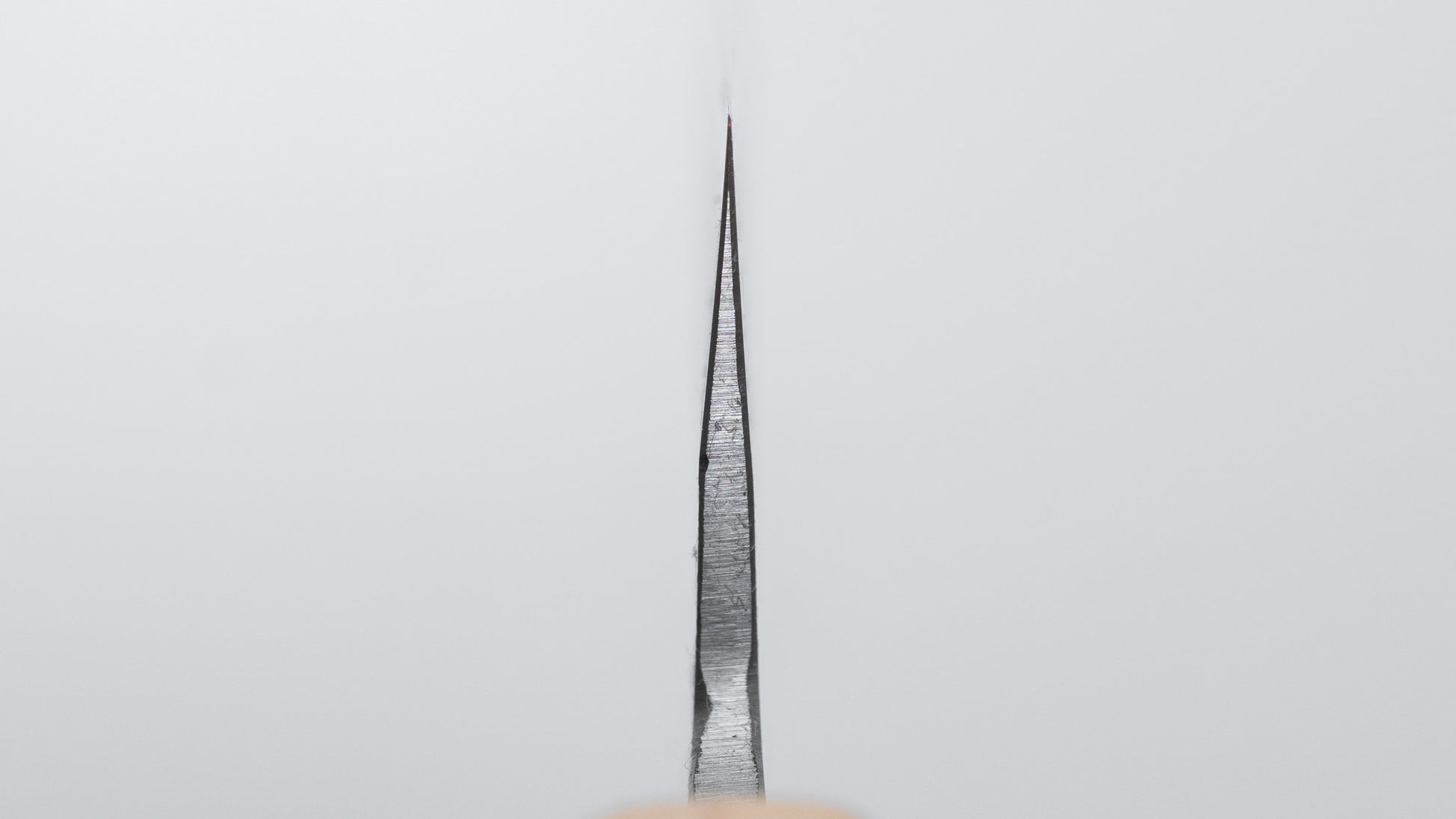 Hitohira TD Blue #2 Stainless Clad Nashiji Sujihiki 270mm Walnut Handle