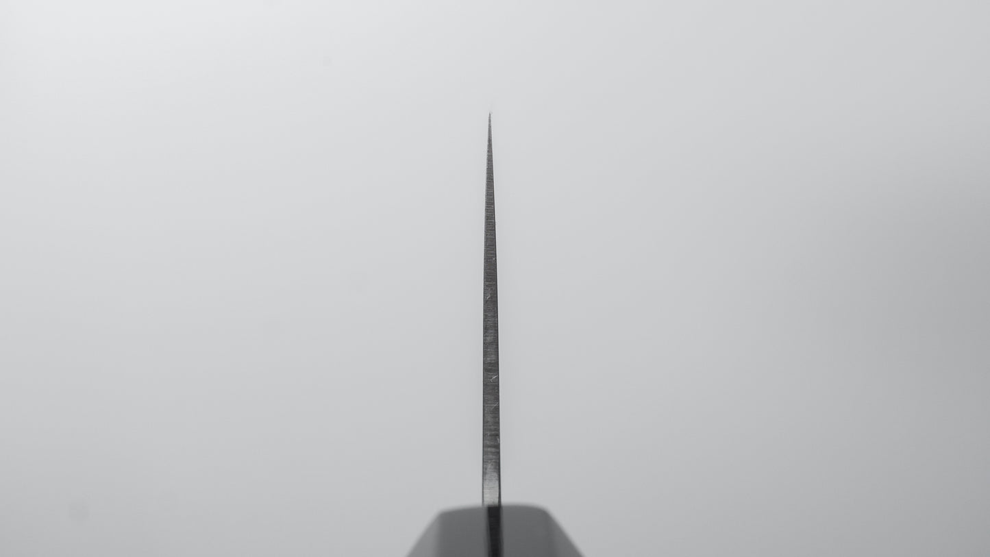 Hitohira SLD Gyuto 210mm Ho Wood Handle