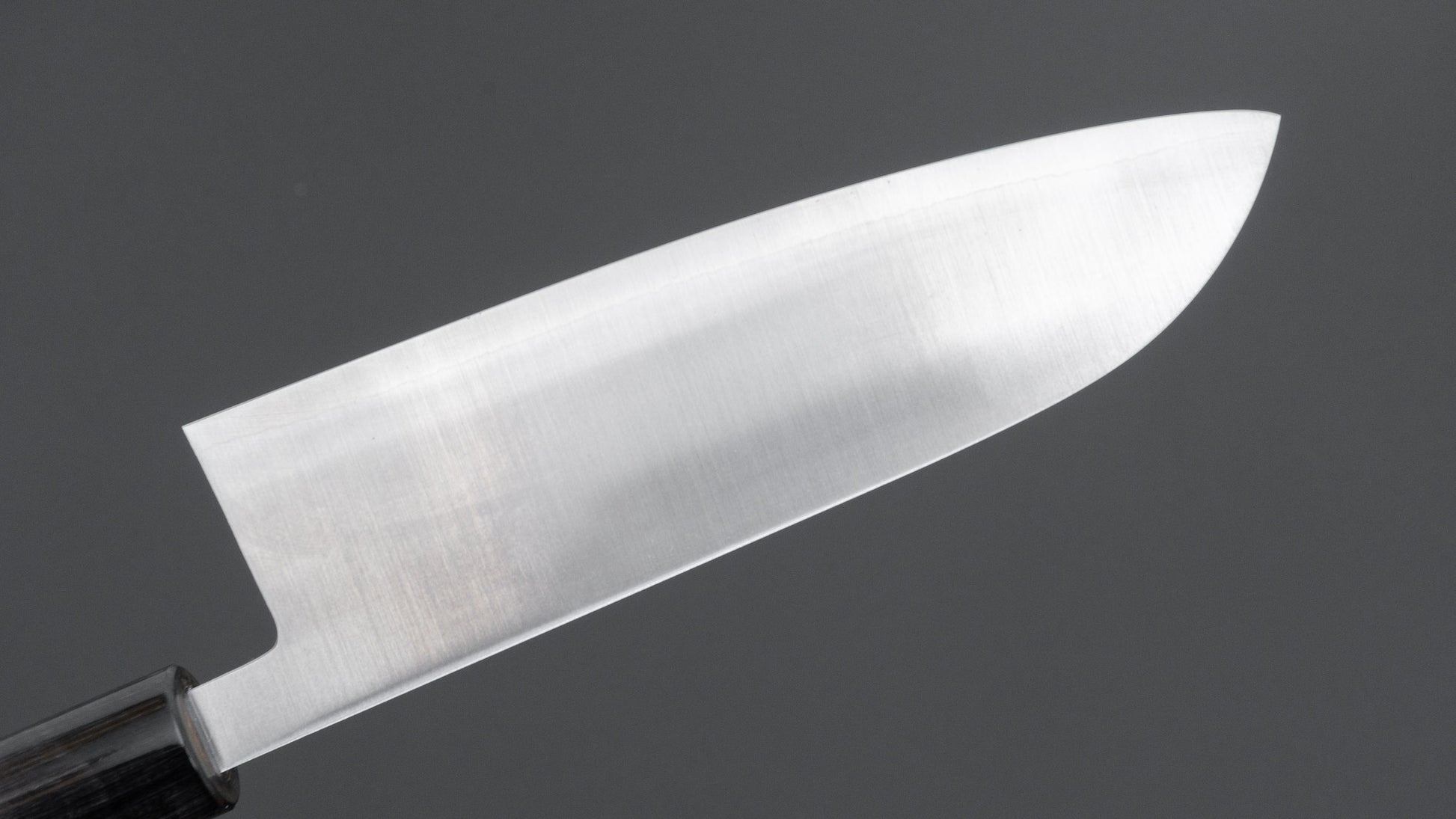 Hitohira SLD Santoku 165mm Ho Wood Handle (D-Shape)