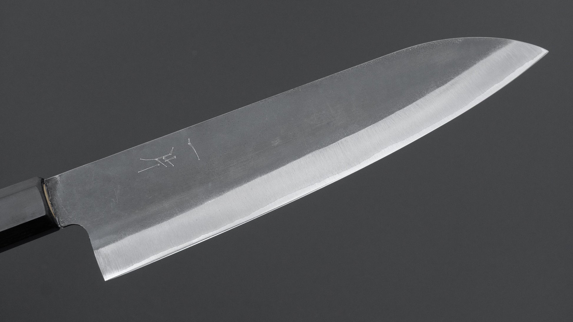 Hitohira Hizen Kurouchi Blue #1 Stainless Clad Gyuto 210mm Ho Wood Handle