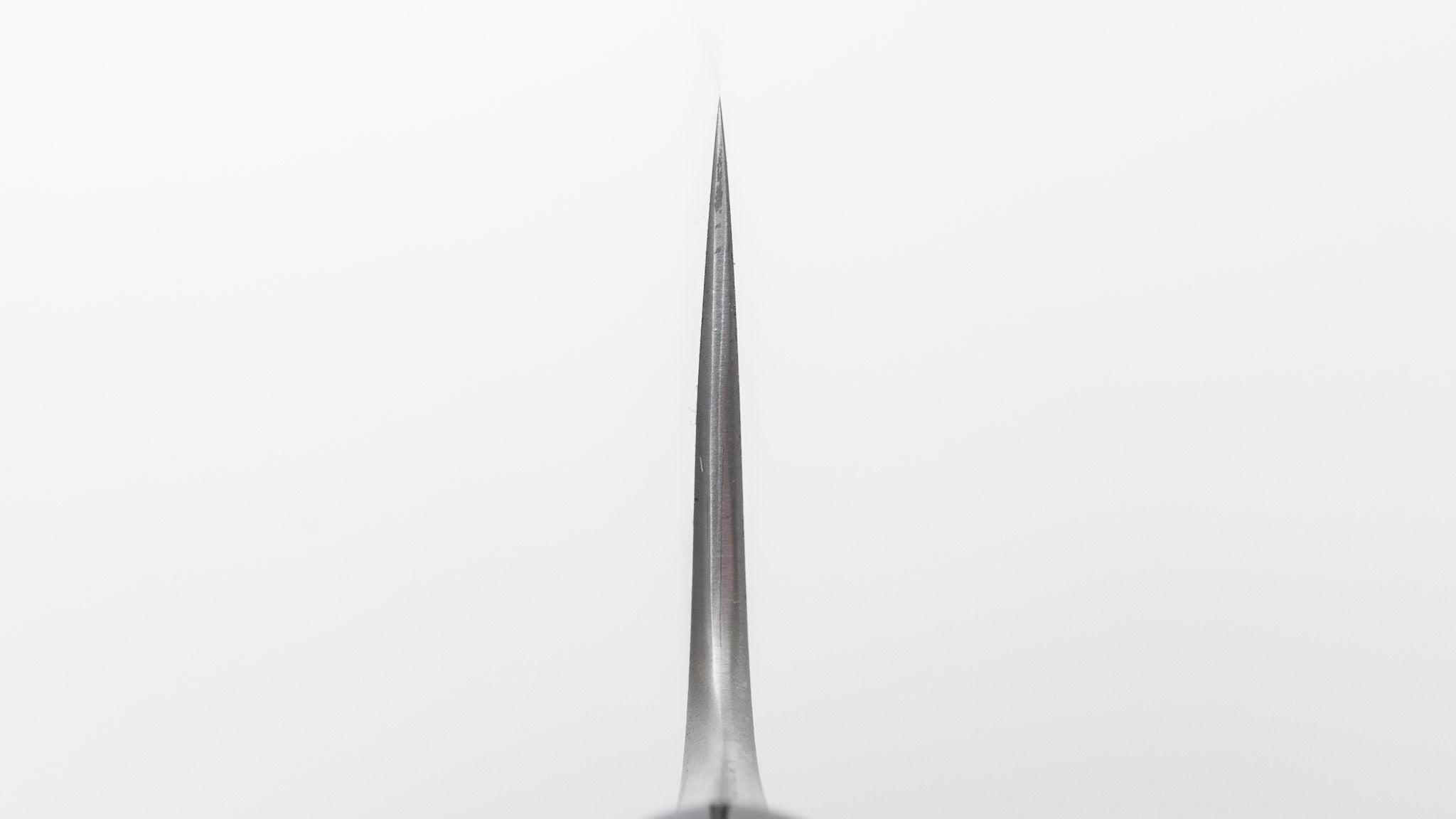 Shigefusa Kitaeji Wa Gyuto 210mm Ho Wood Handle – HITOHIRA