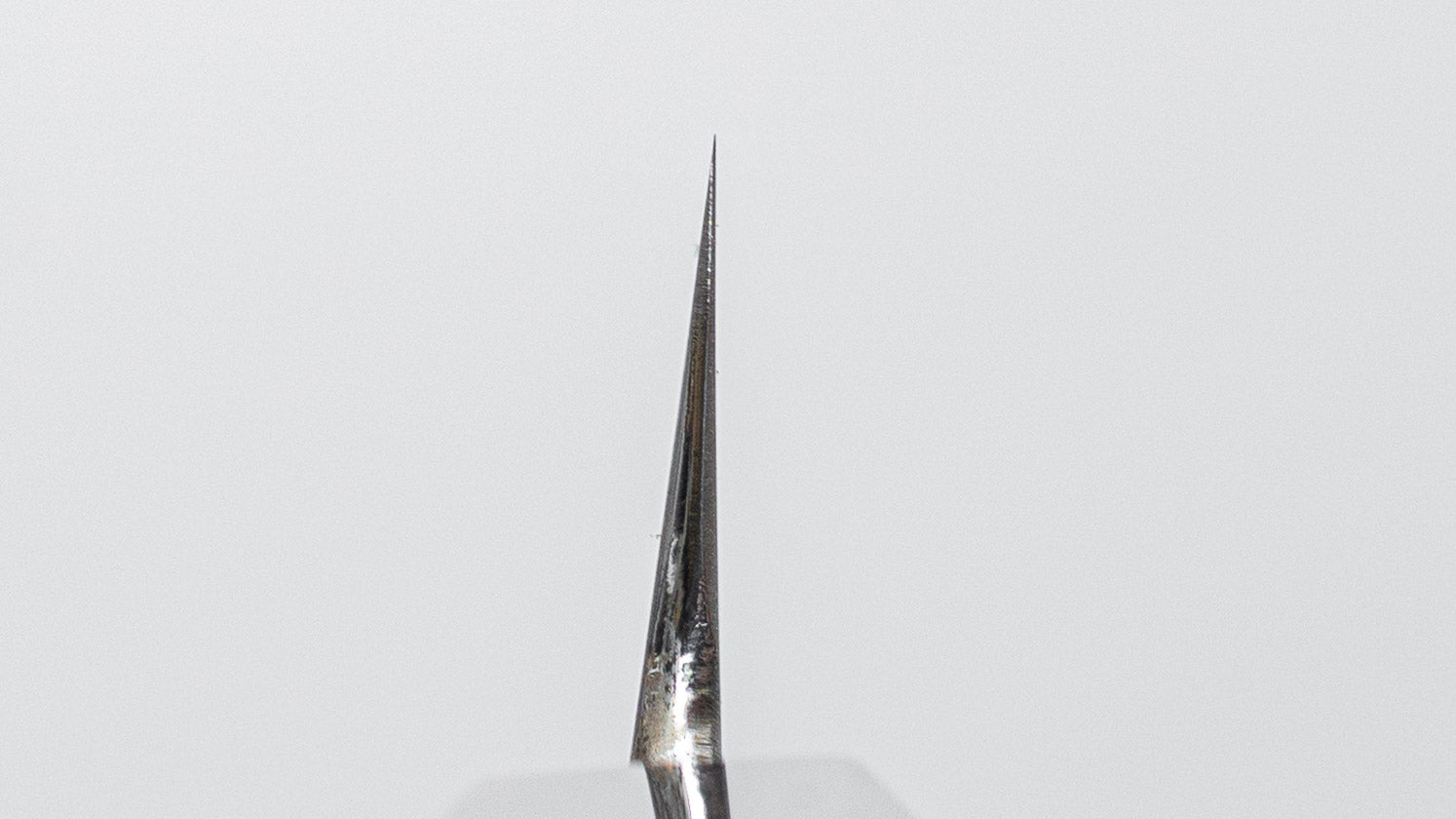 Hitohira Nakagawa Mosuke Silver #3 Sakimaru Takobiki 300mm Ho Wood Handle (Saya)