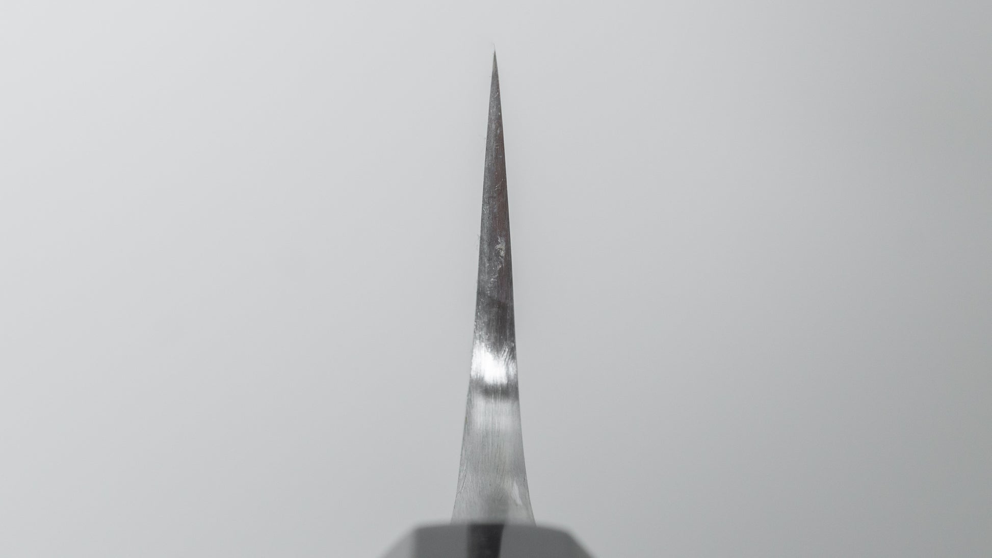 Jiro Tsuchime Wa Sujihiki 240mm Taihei Tagayasan Handle (#687)
