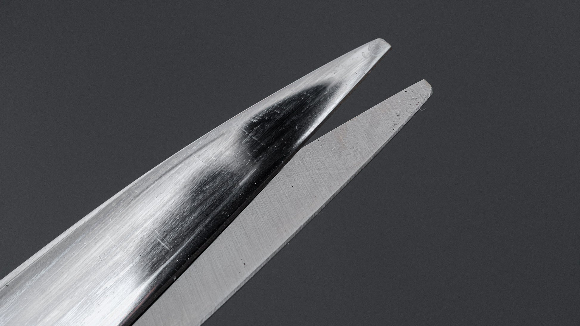 Shozaburo Stainless Fabric Shears 240mm