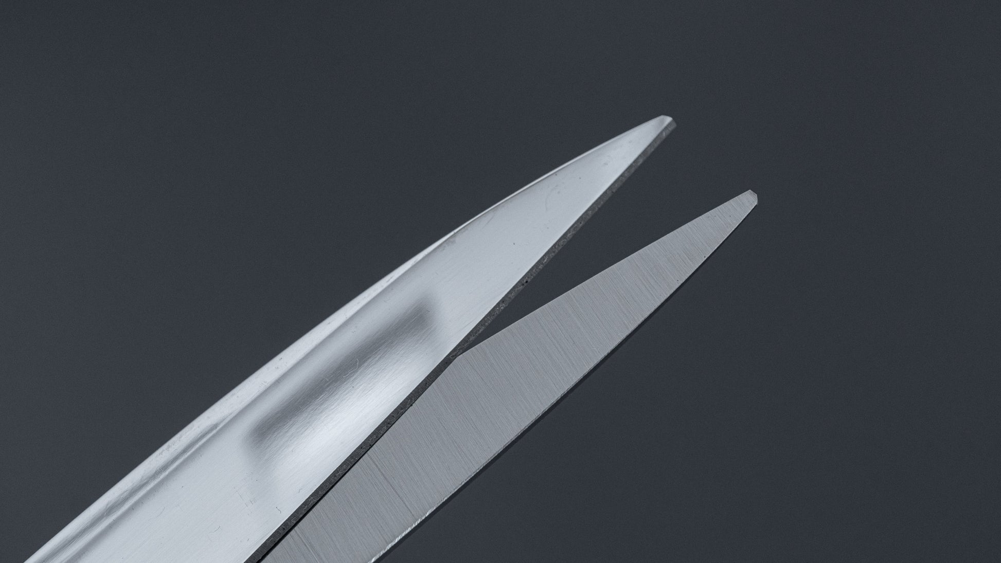 Shozaburo Stainless Fabric Shears 260mm