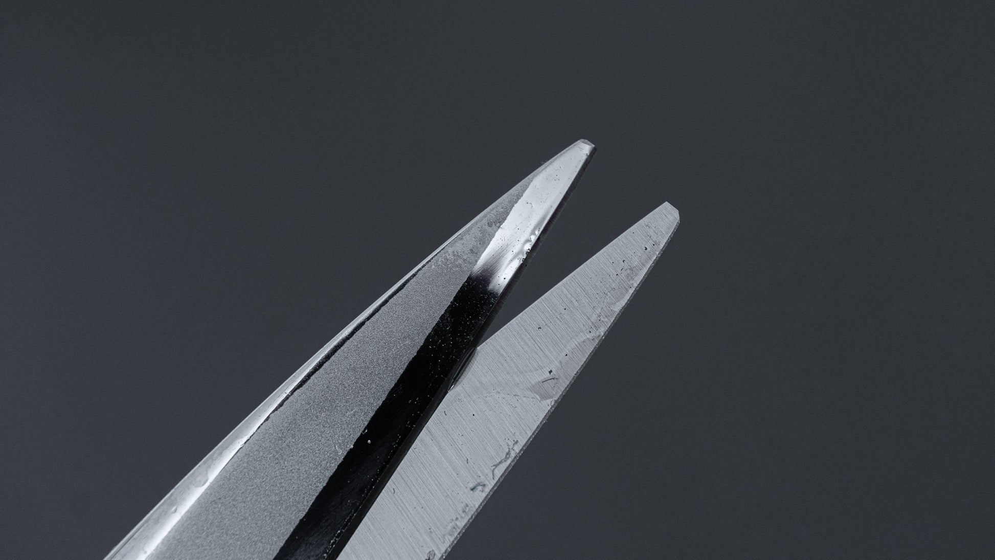Shozaburo Deluxe Fabric Shears 240mm