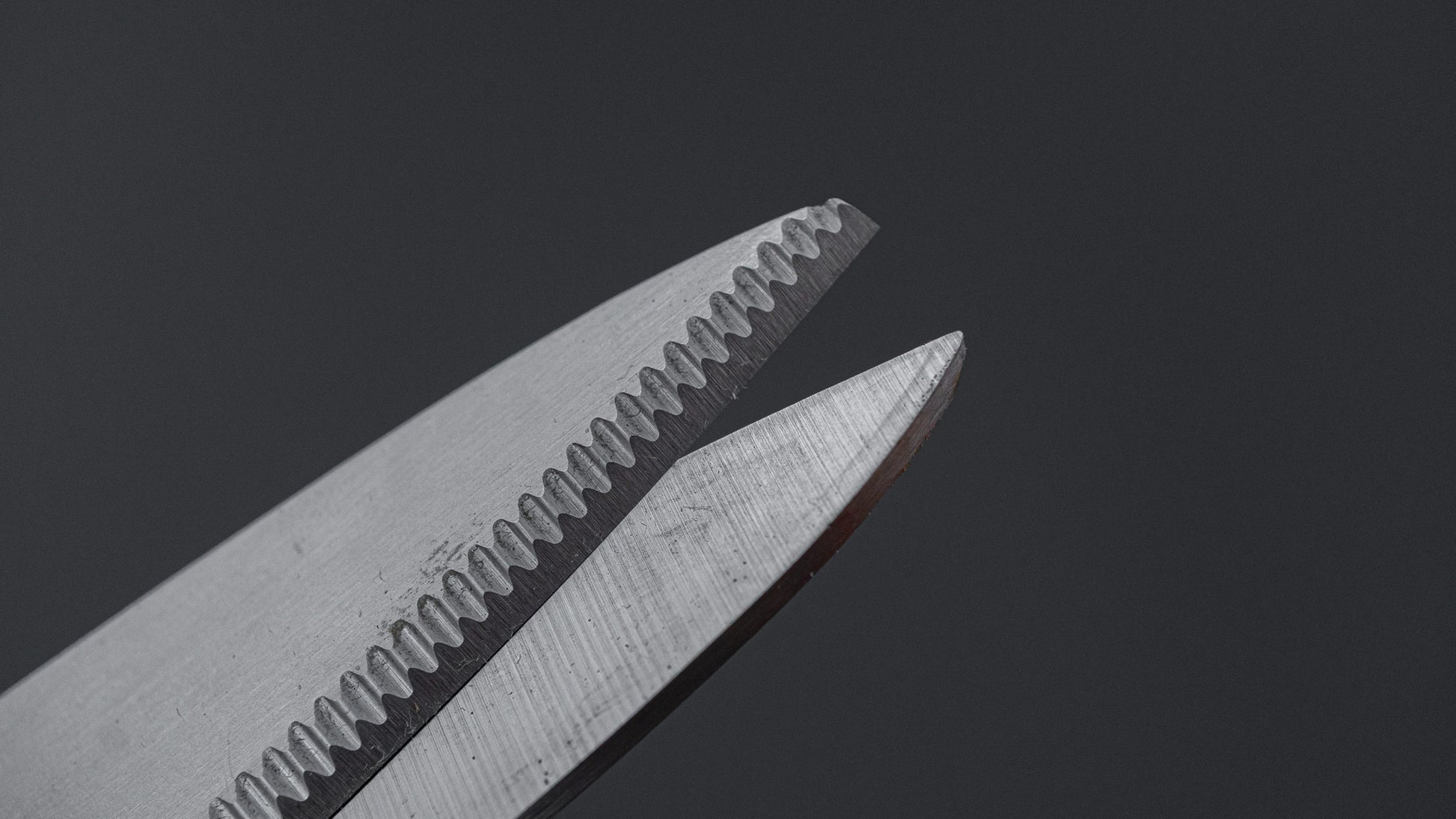 ALLEX Kitchen Shears