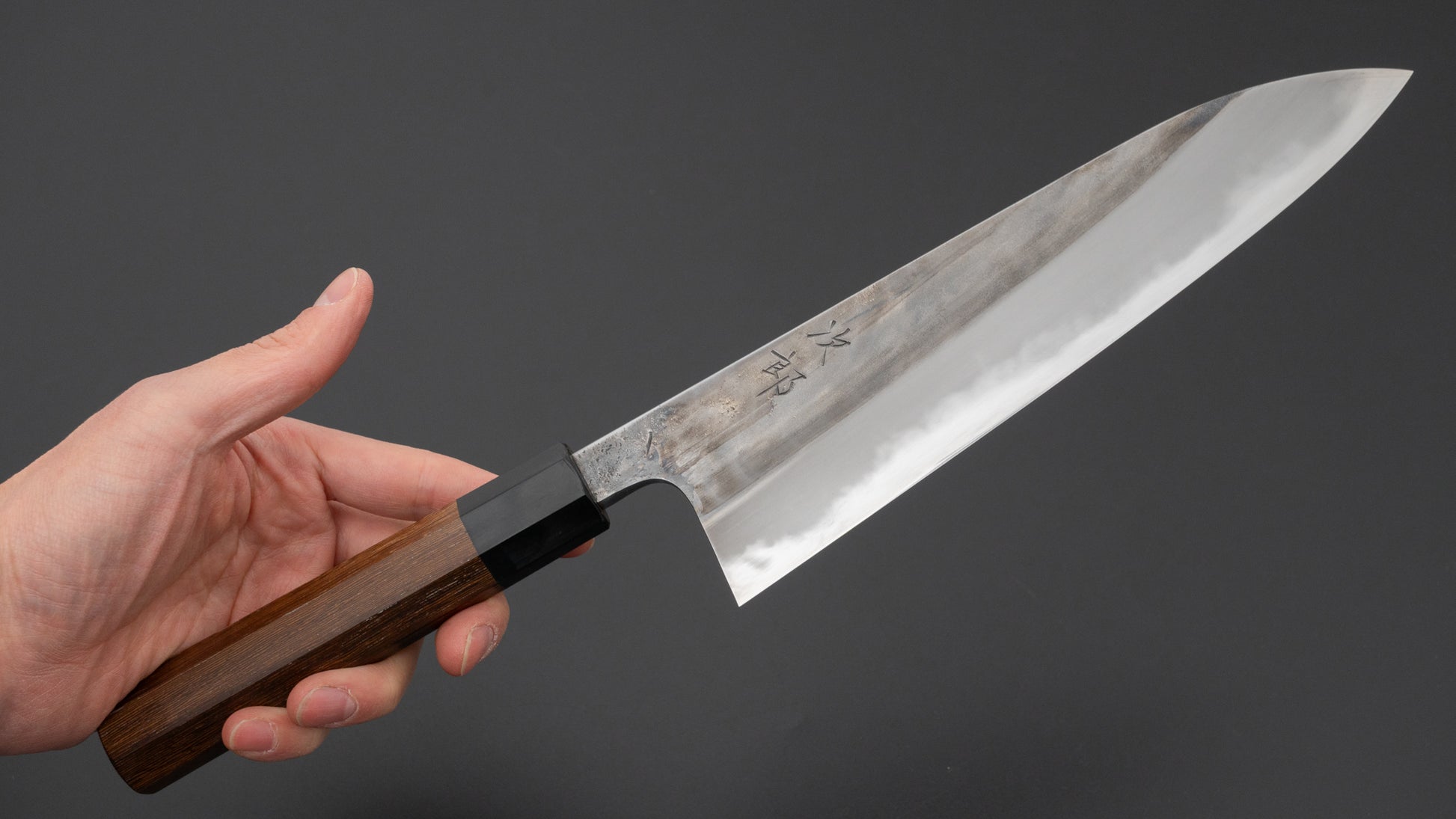 Jiro Tsuchime Wa Gyuto 210mm Taihei Tagayasan Handle (#704)