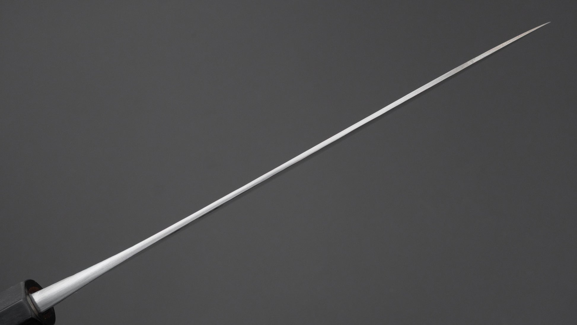 Jiro Tsuchime Wa Gyuto 210mm Taihei Tagayasan Handle (#704)