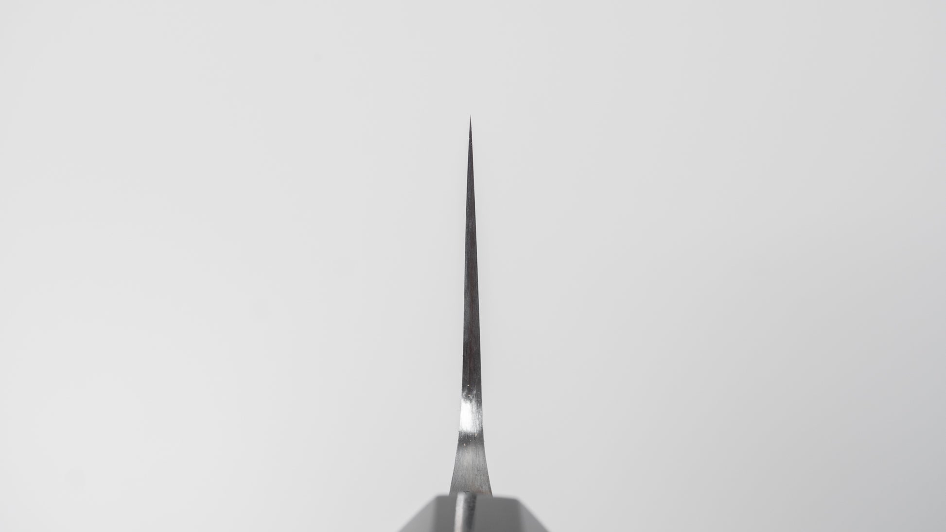 Jiro Tsuchime Wa Gyuto 210mm Taihei Tagayasan Handle (#704)