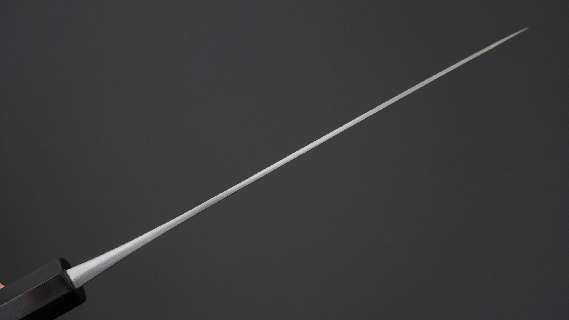 Jiro Tsuchime Wa Gyuto 210mm Taihei Tagayasan Handle (#705)