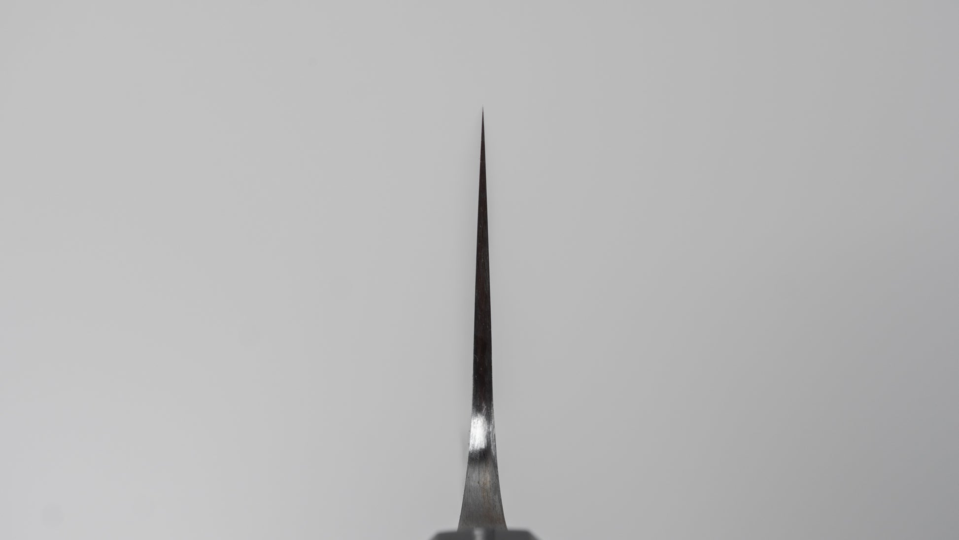 Jiro Tsuchime Wa Gyuto 210mm Taihei Tagayasan Handle (#705)