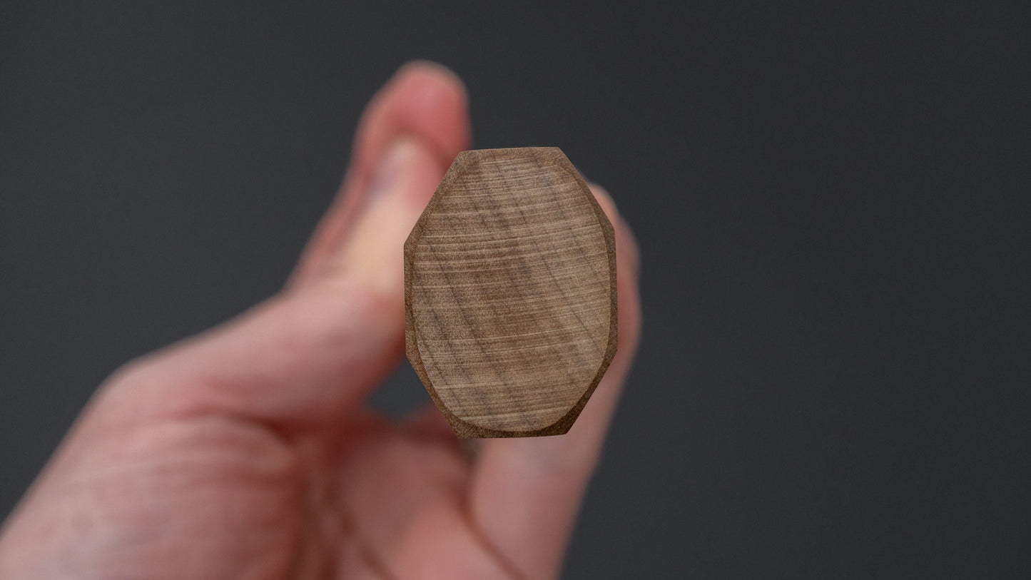 Tetsujin Silver #3 Kasumi Pasta Kiri 270mm Ho Wood Handle