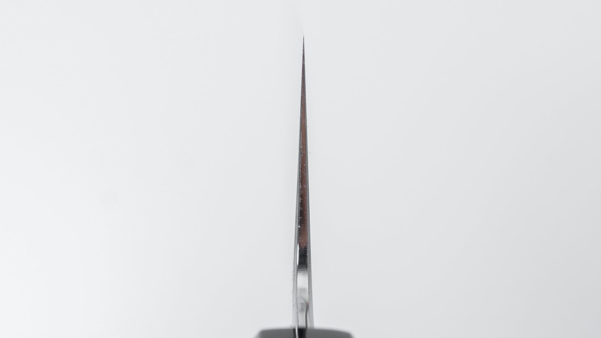 Tetsujin Silver #3 Kasumi Pasta Kiri 270mm Ho Wood Handle