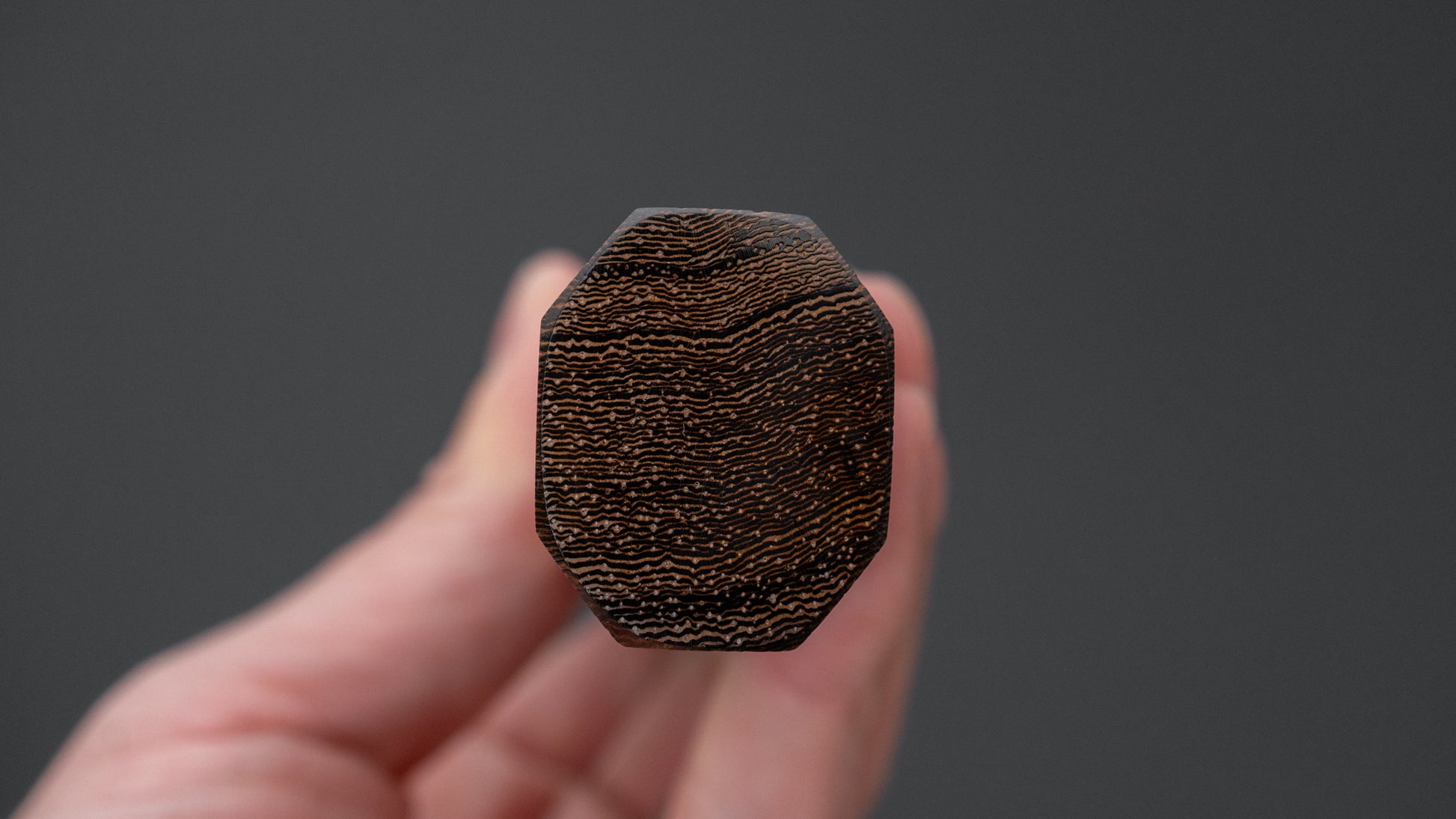 Hitohira Echizen SG2 Tsuchime Santoku 170mm Tagayasan Handle